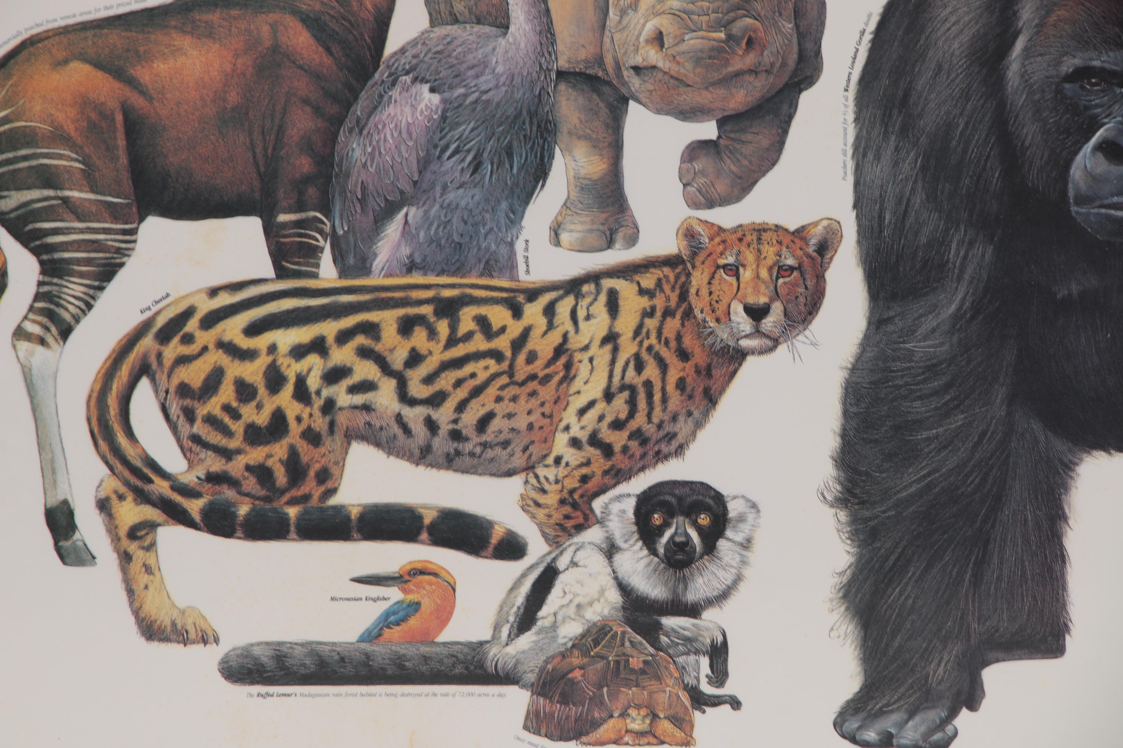 Cincinnati Zoo and Botanical Garden Offset Lithograph Poster