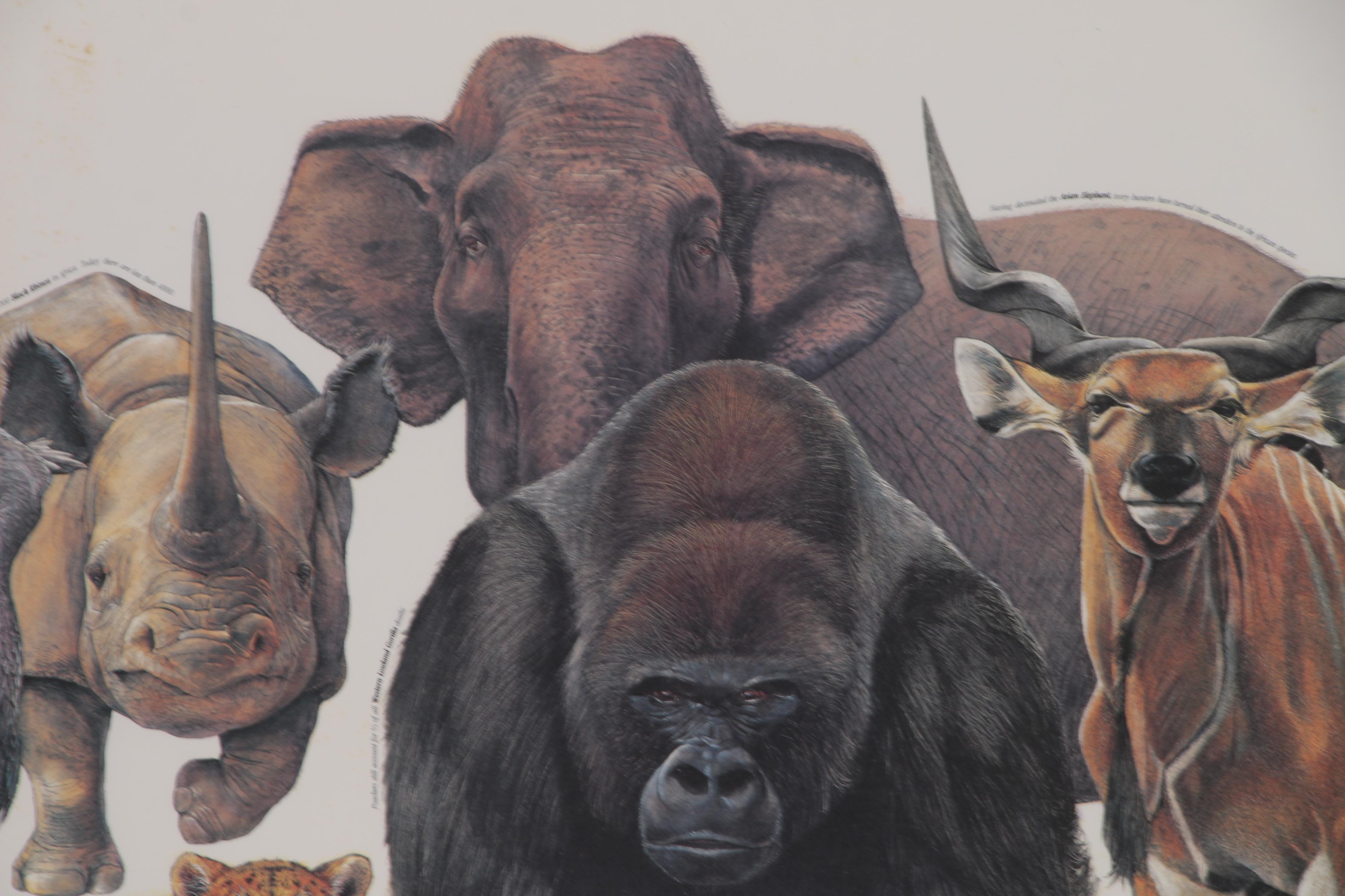 Cincinnati Zoo and Botanical Garden Offset Lithograph Poster