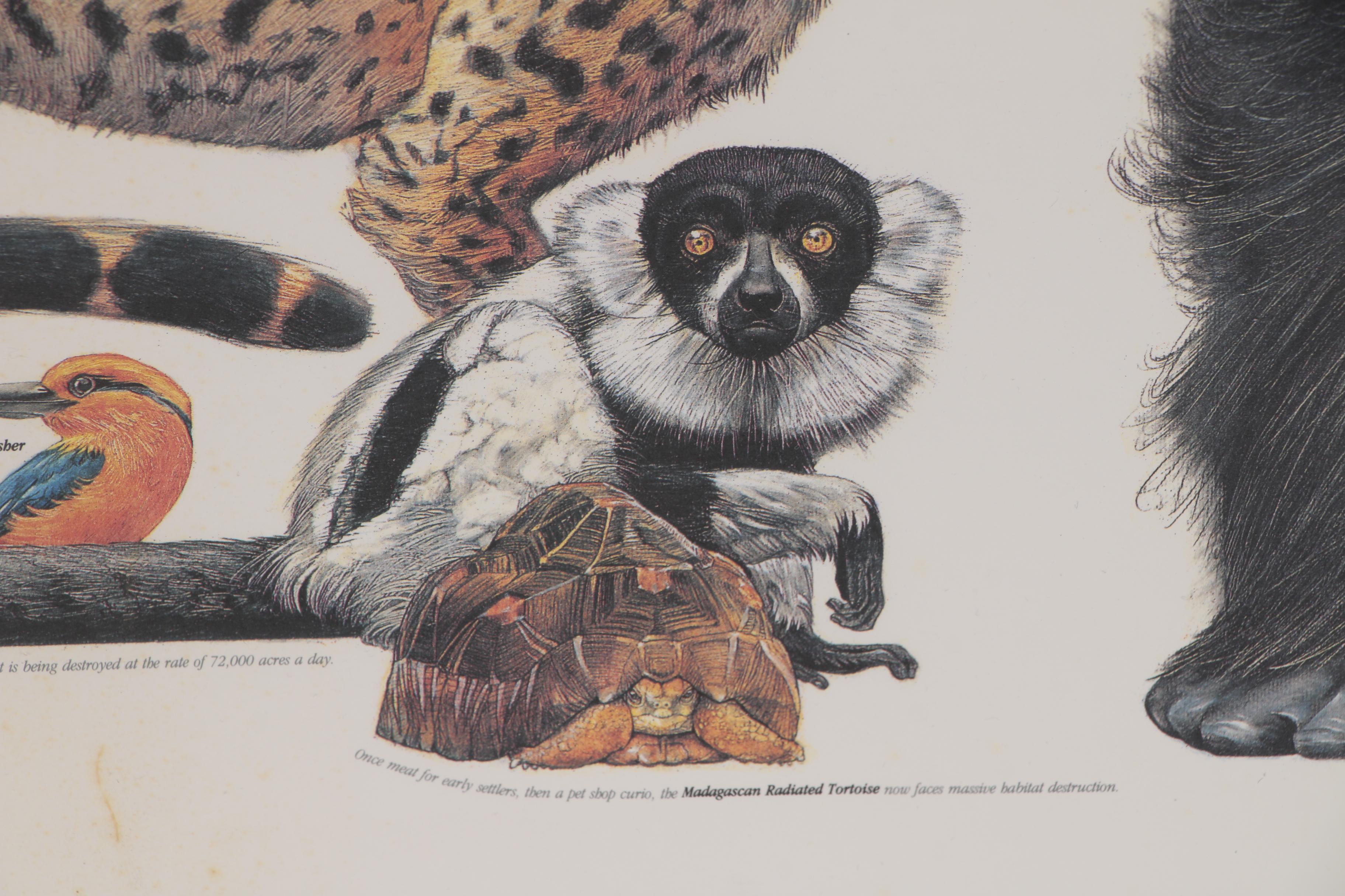 Cincinnati Zoo and Botanical Garden Offset Lithograph Poster