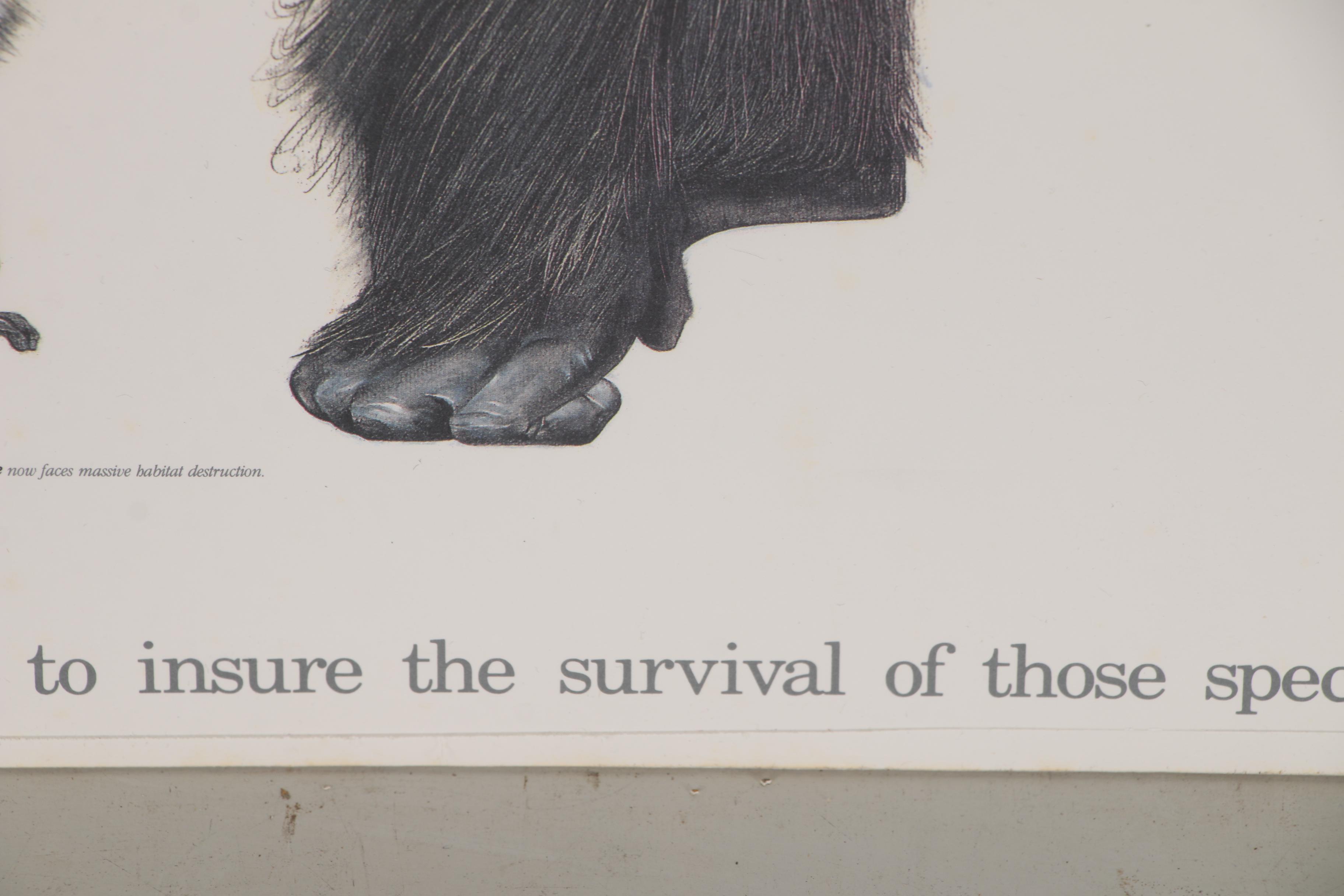 Cincinnati Zoo and Botanical Garden Offset Lithograph Poster