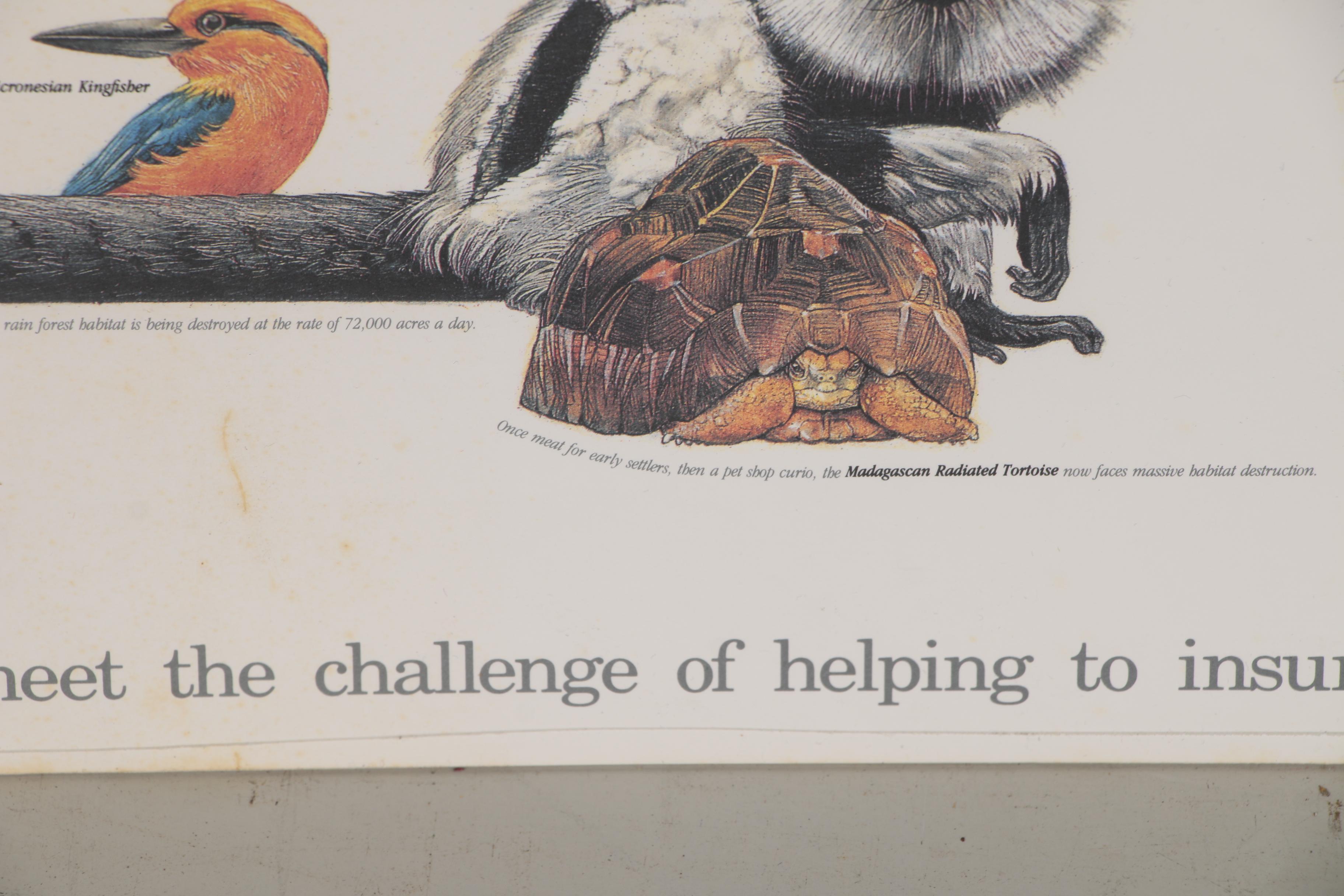 Cincinnati Zoo and Botanical Garden Offset Lithograph Poster