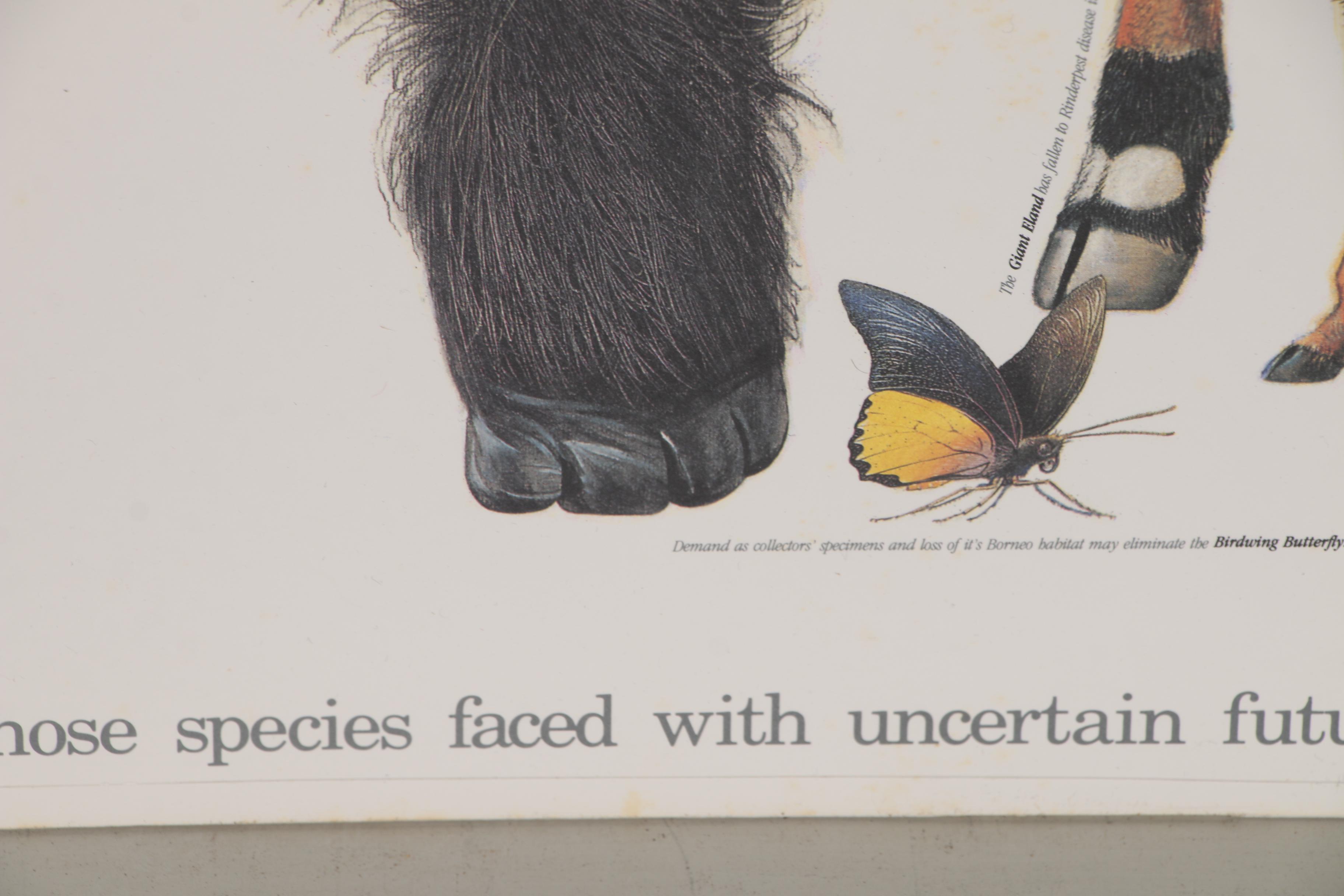 Cincinnati Zoo and Botanical Garden Offset Lithograph Poster