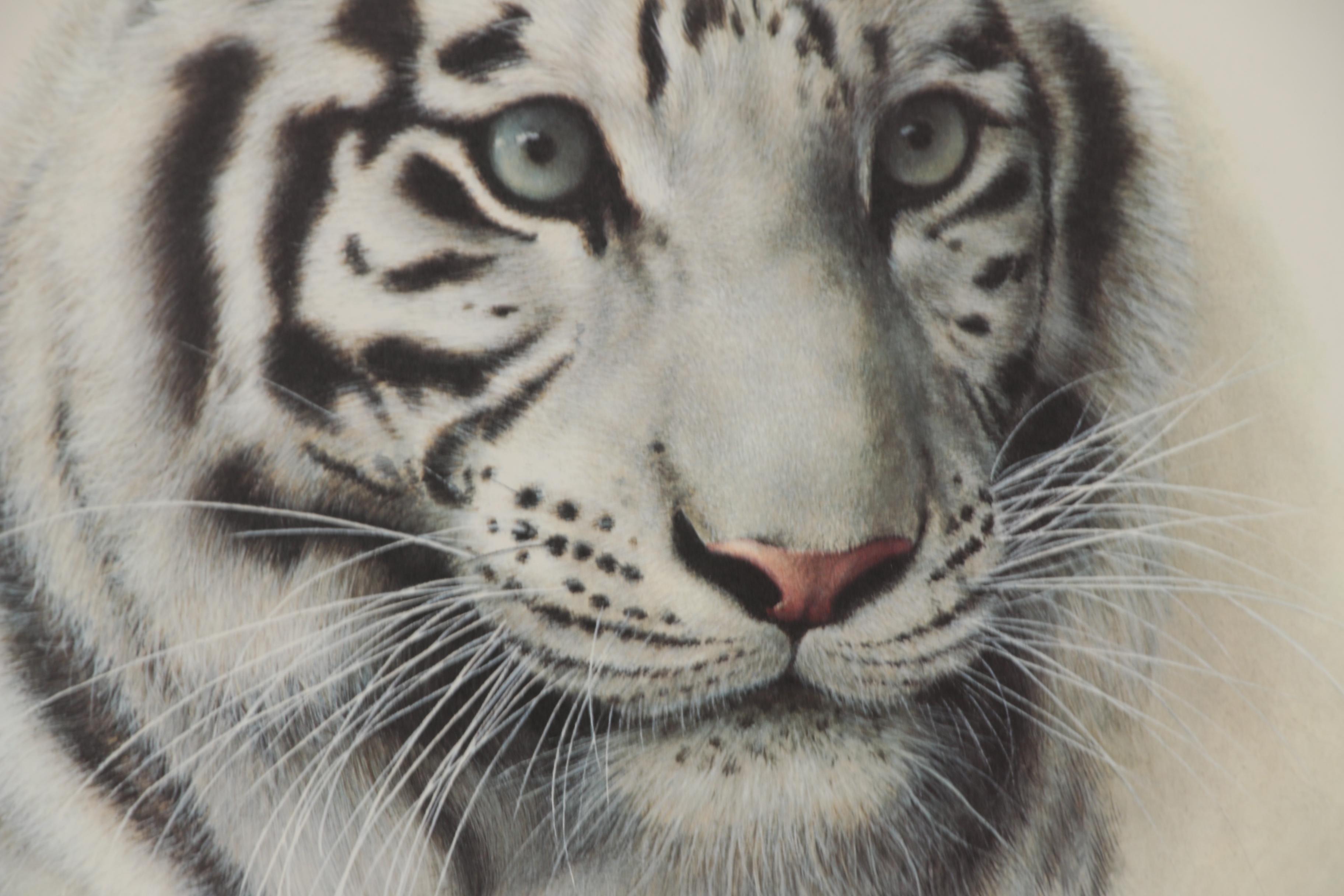 Charles Fracé Offset Lithographs "White Tiger" and "African Leopard"