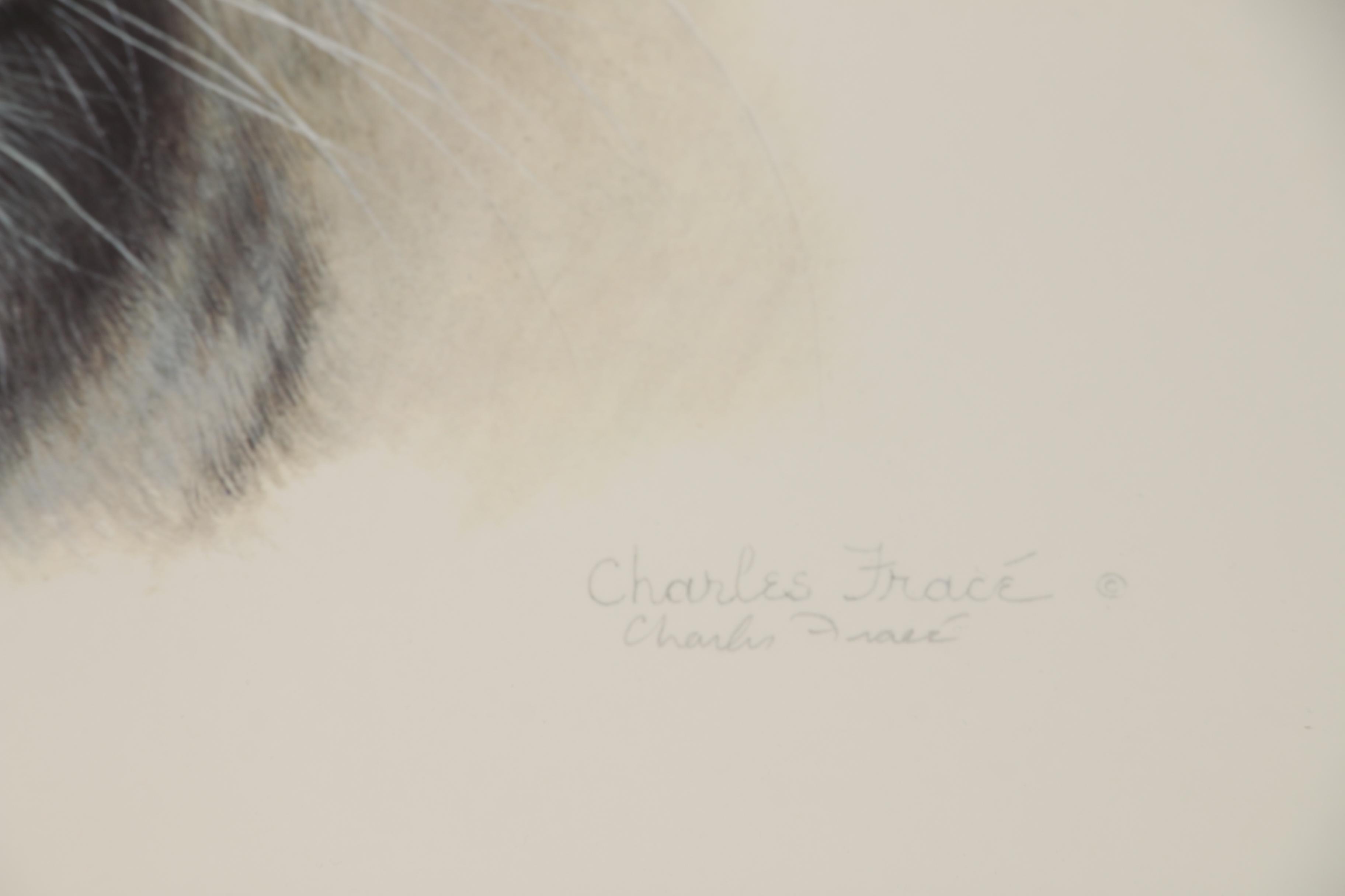 Charles Fracé Offset Lithographs "White Tiger" and "African Leopard"