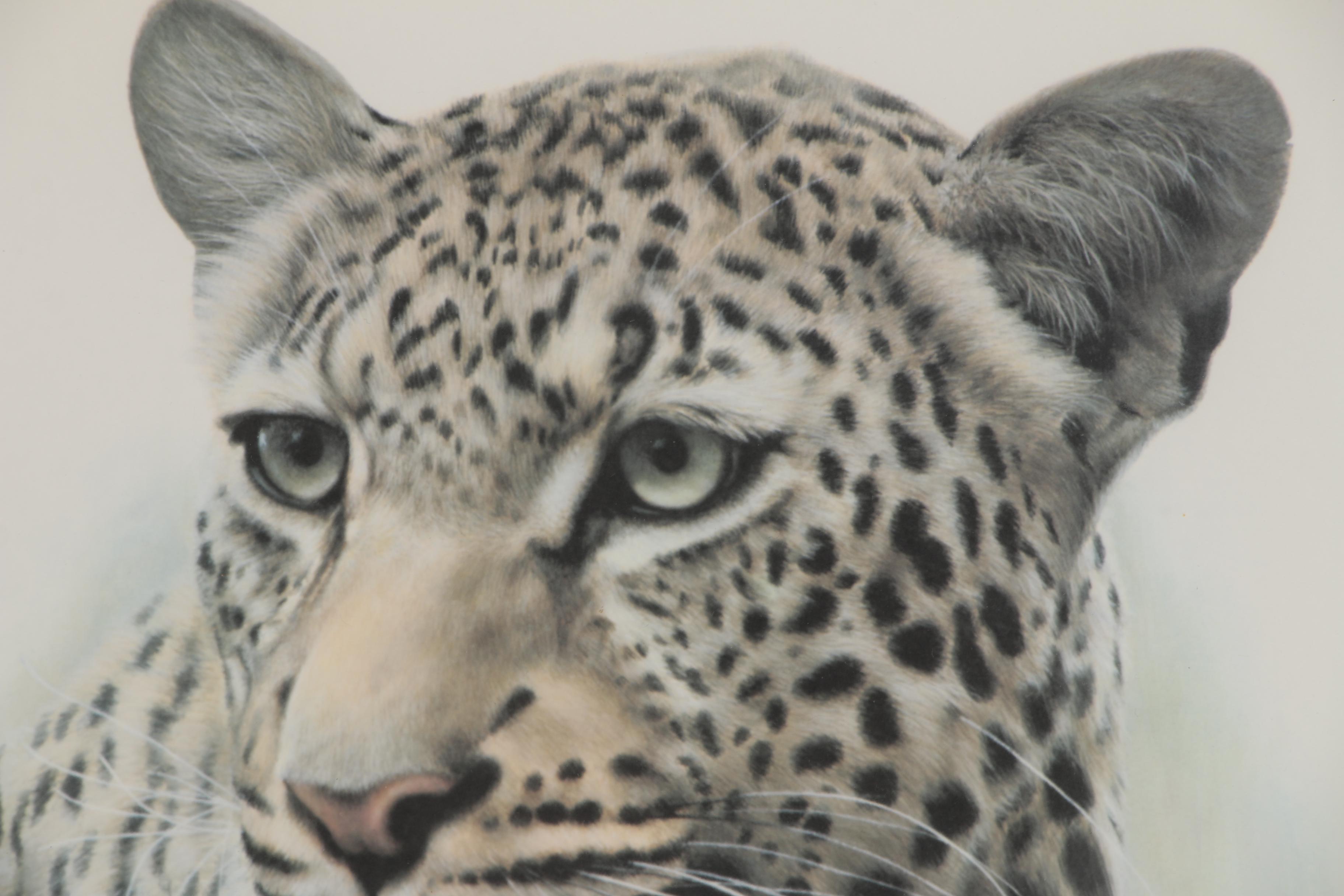 Charles Fracé Offset Lithographs "White Tiger" and "African Leopard"