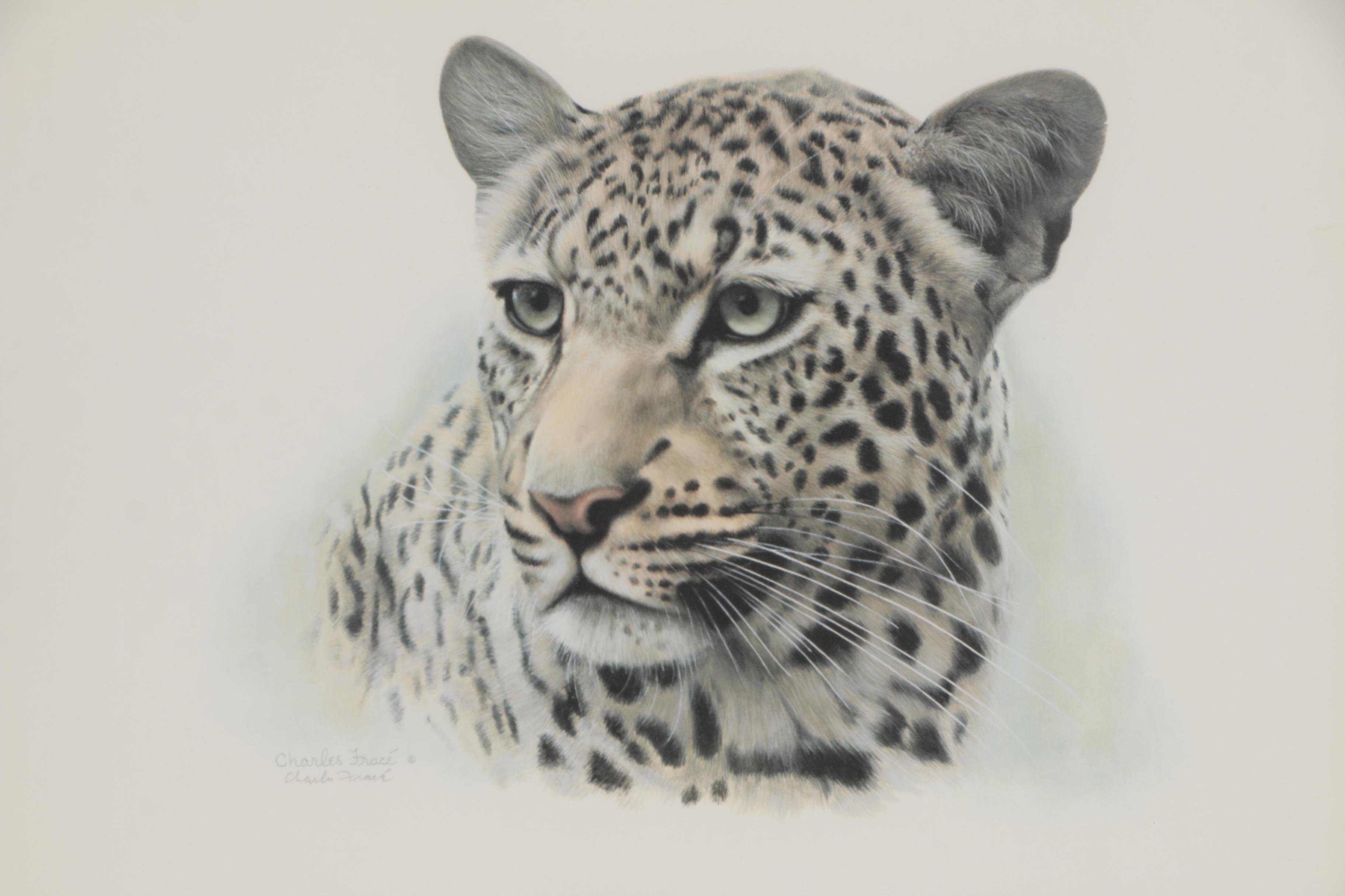 Charles Fracé Offset Lithographs "White Tiger" and "African Leopard"