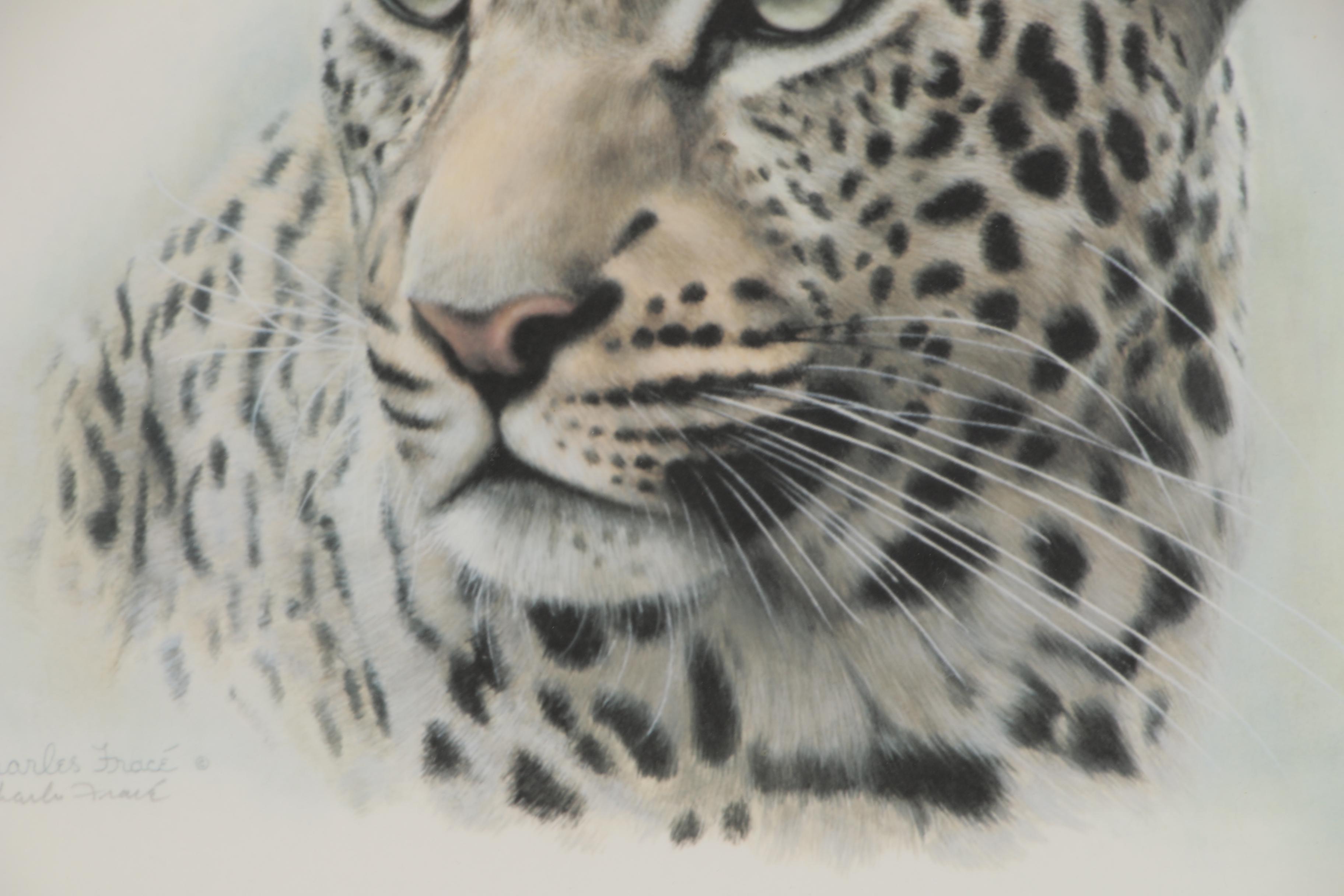 Charles Fracé Offset Lithographs "White Tiger" and "African Leopard"