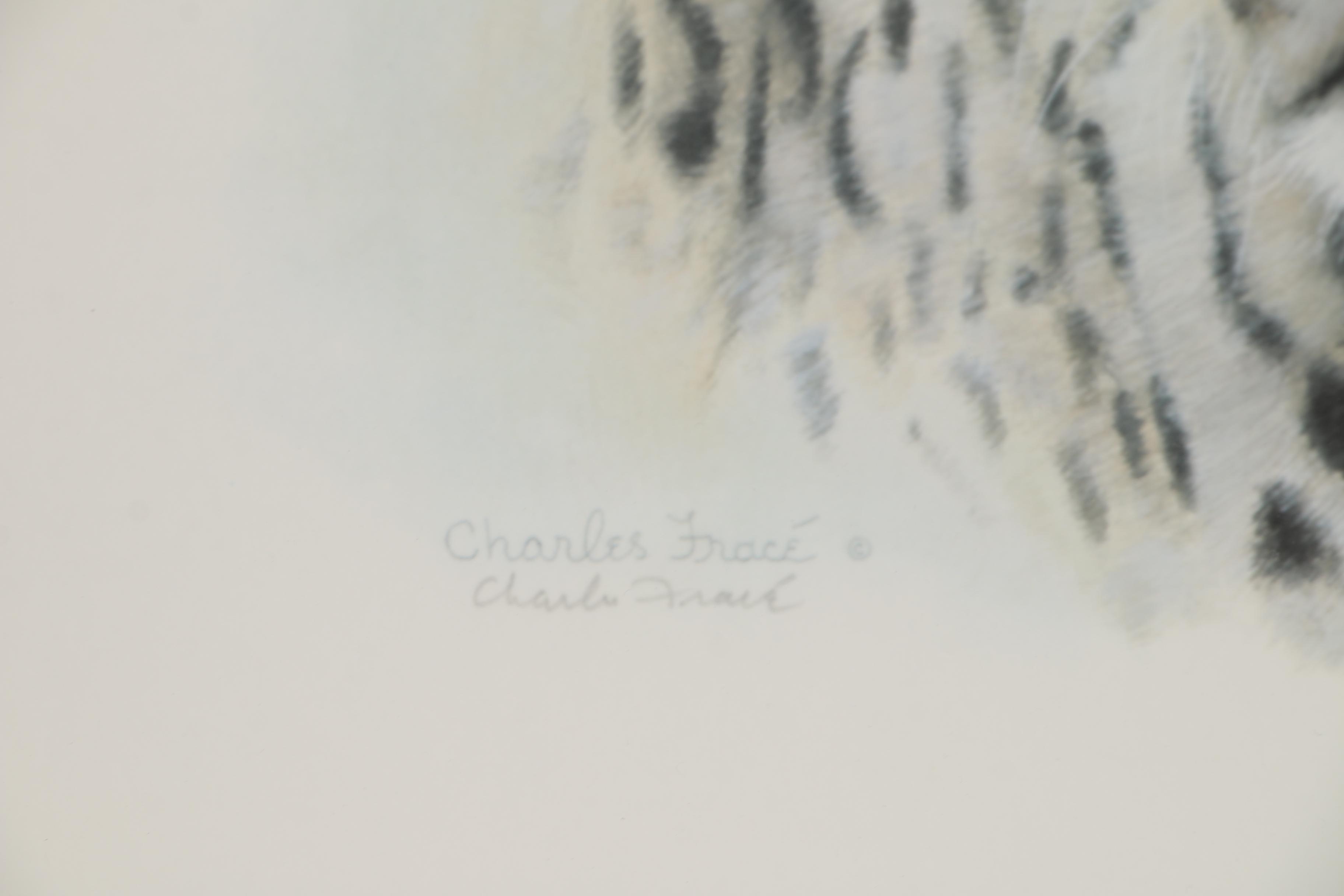 Charles Fracé Offset Lithographs "White Tiger" and "African Leopard"