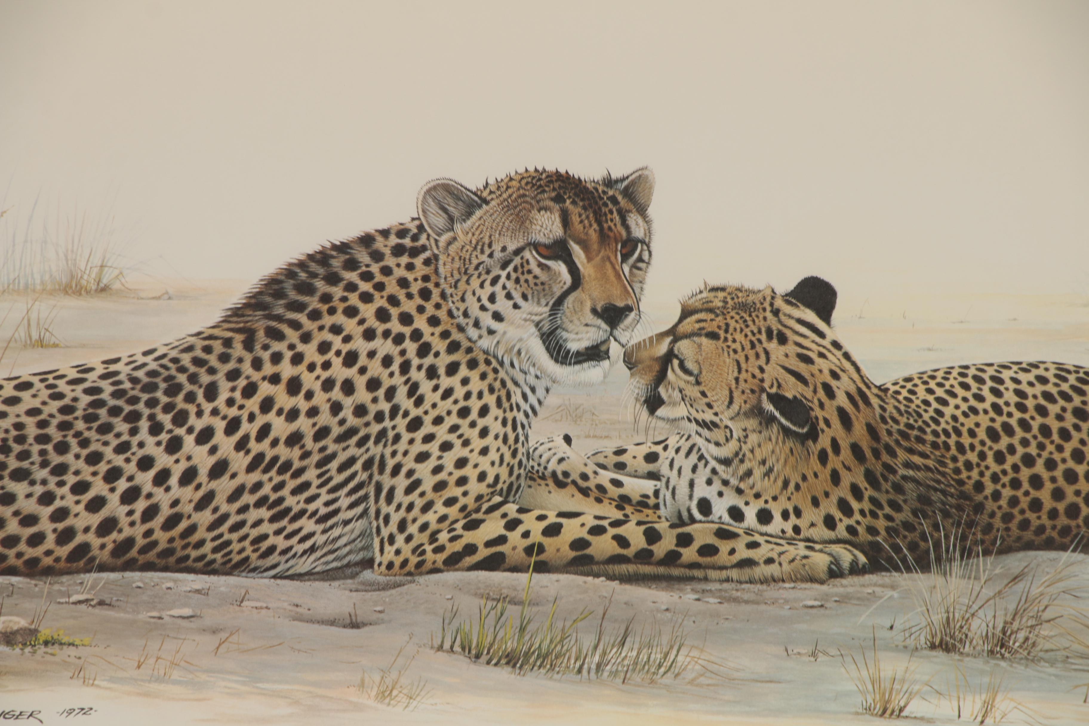 Richard Evans Younger Offset Lithograph "Cheetah", 1972