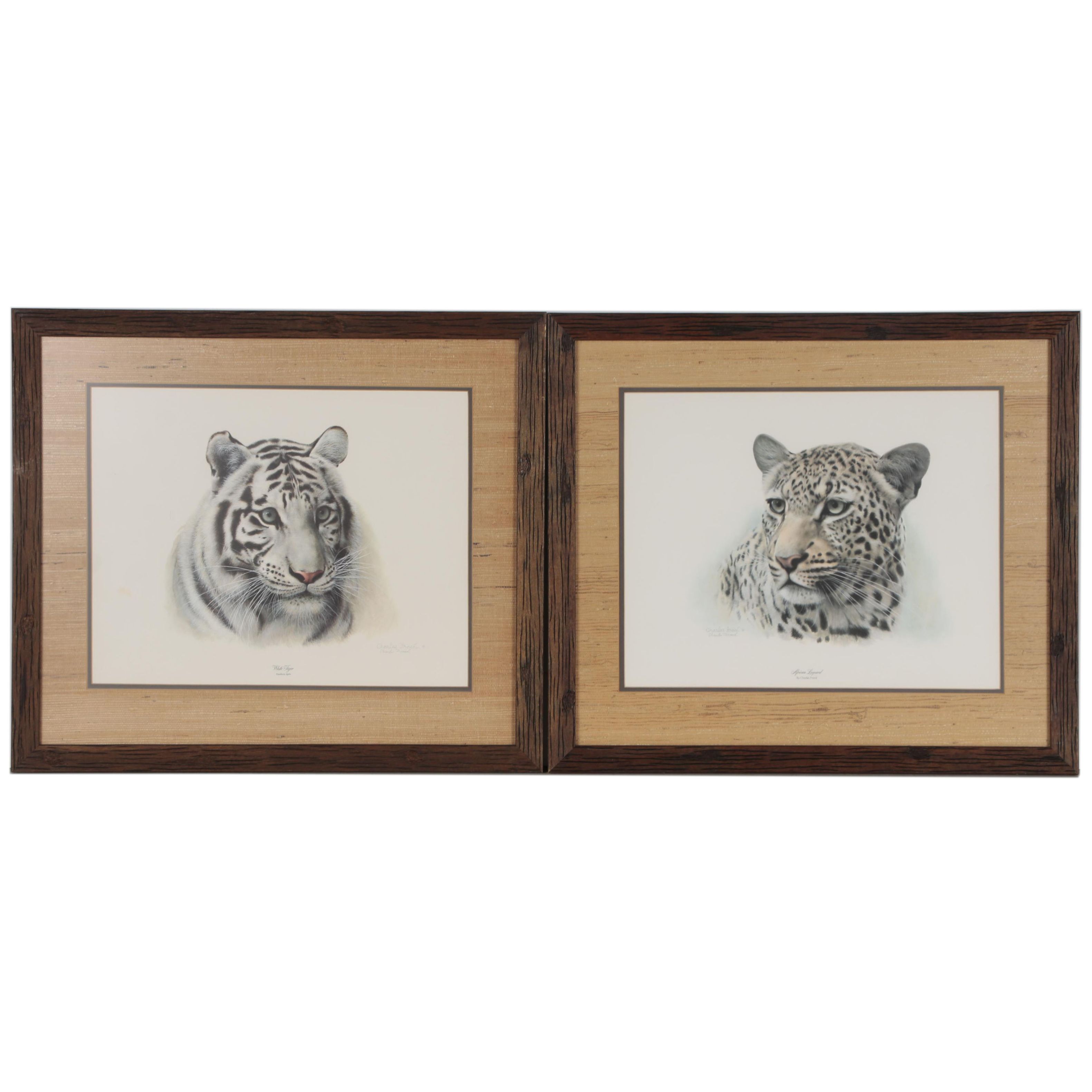 Charles Fracé Offset Lithographs "White Tiger" and "African Leopard"