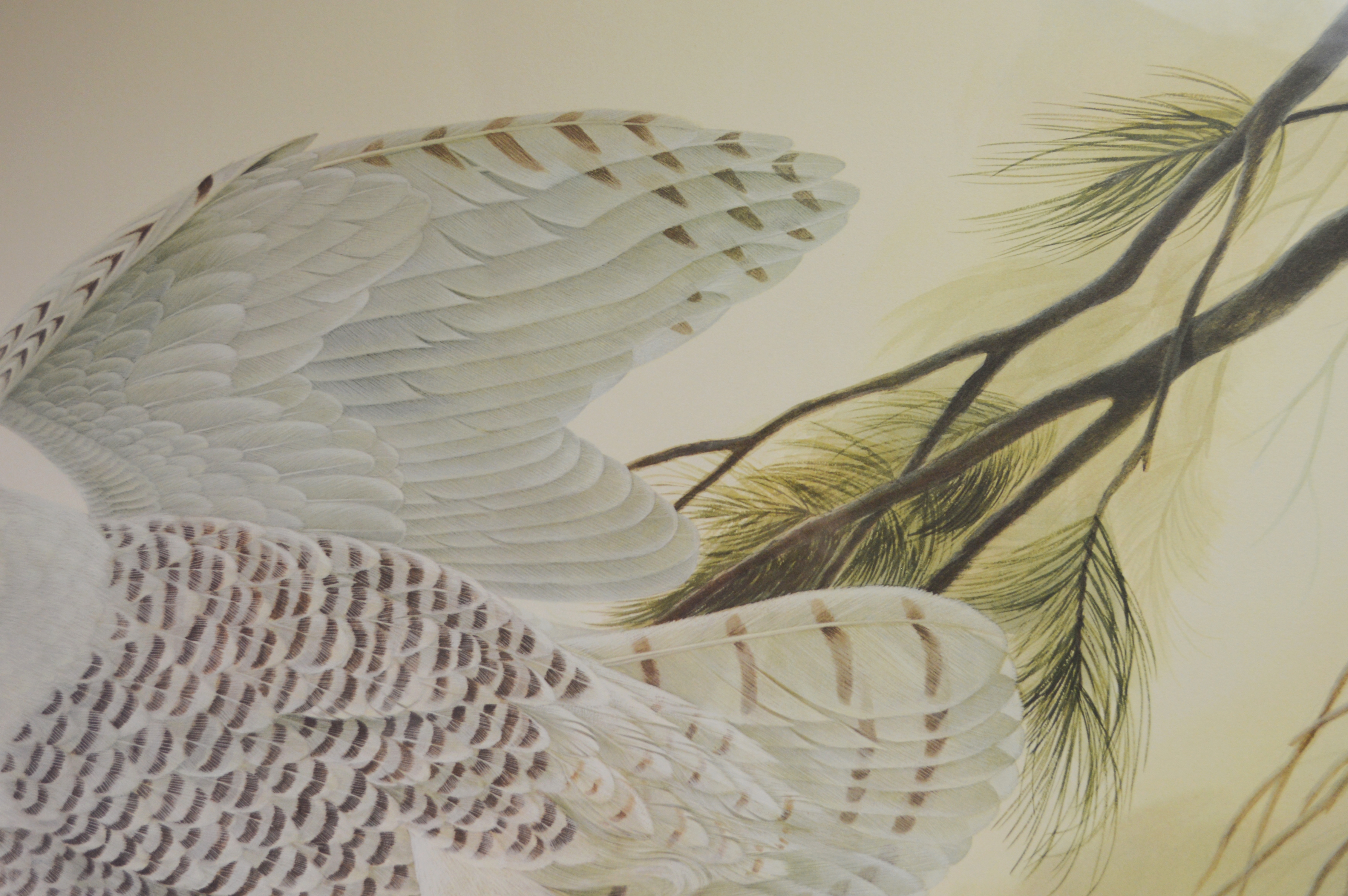 John A. Ruthven Offset Lithograph "Flying Snowy Owl"