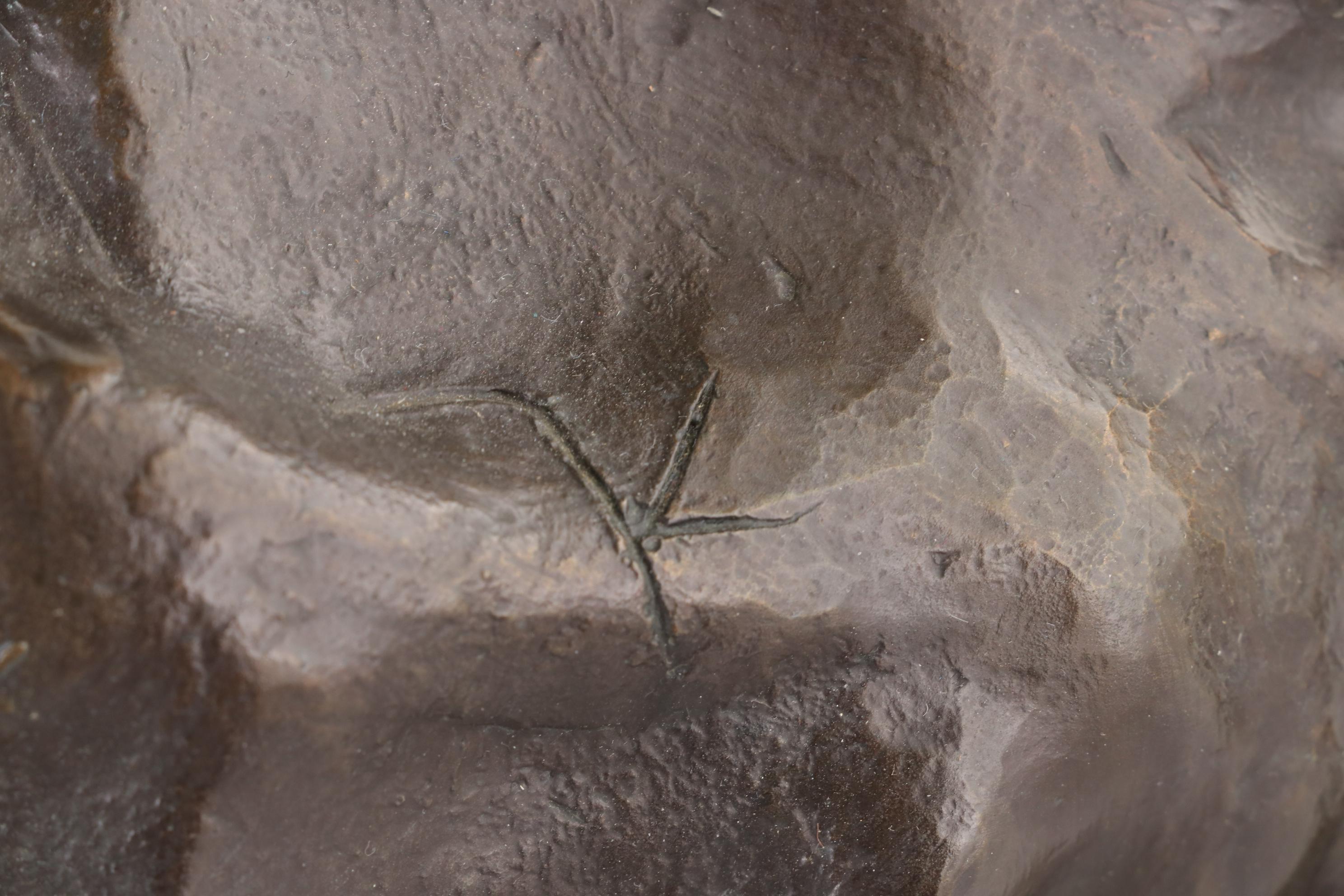 Bronze Sculpture after Frederic Remington "Stampede"