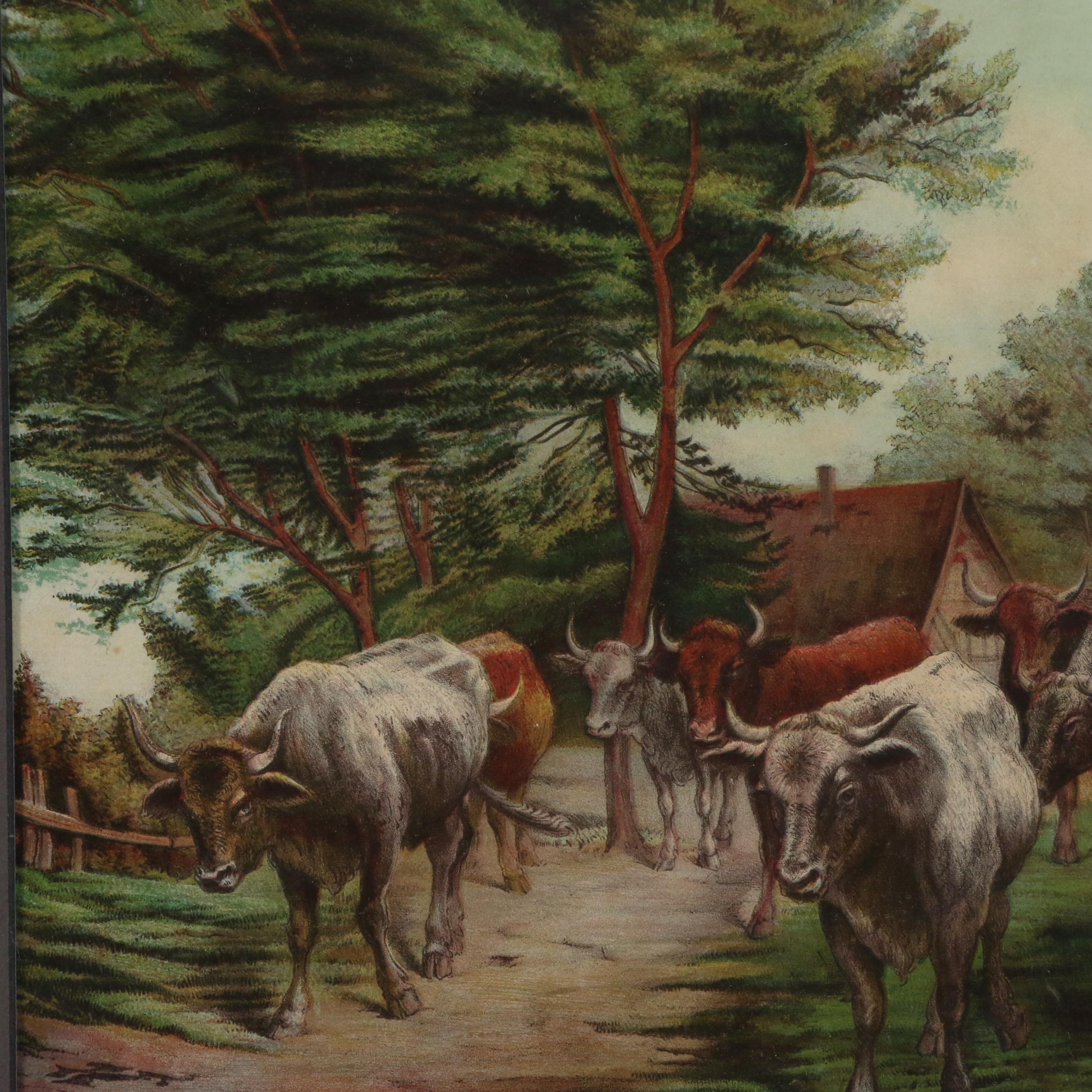 Lithographic Print of Cattle