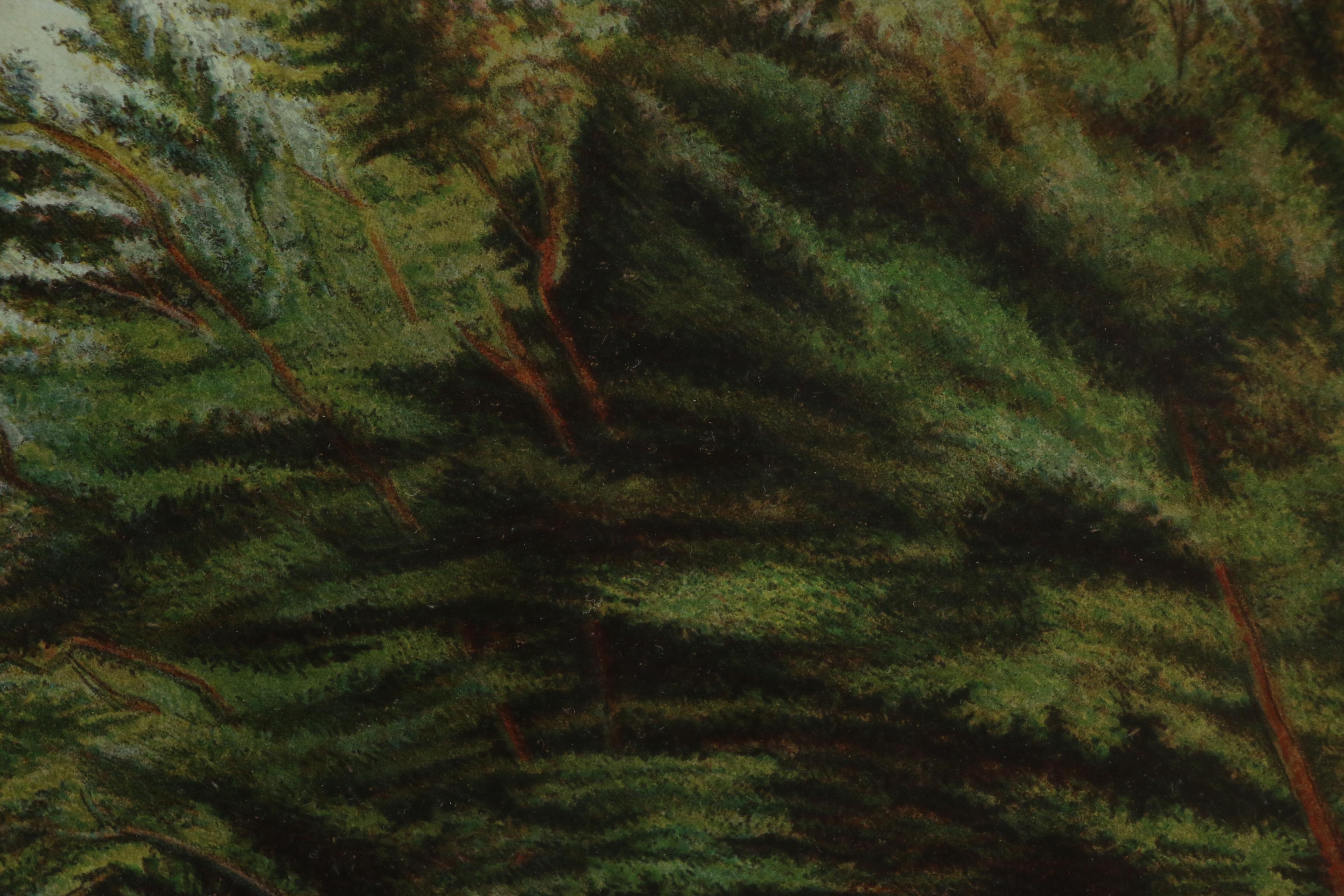 Lithographic Print of Cattle