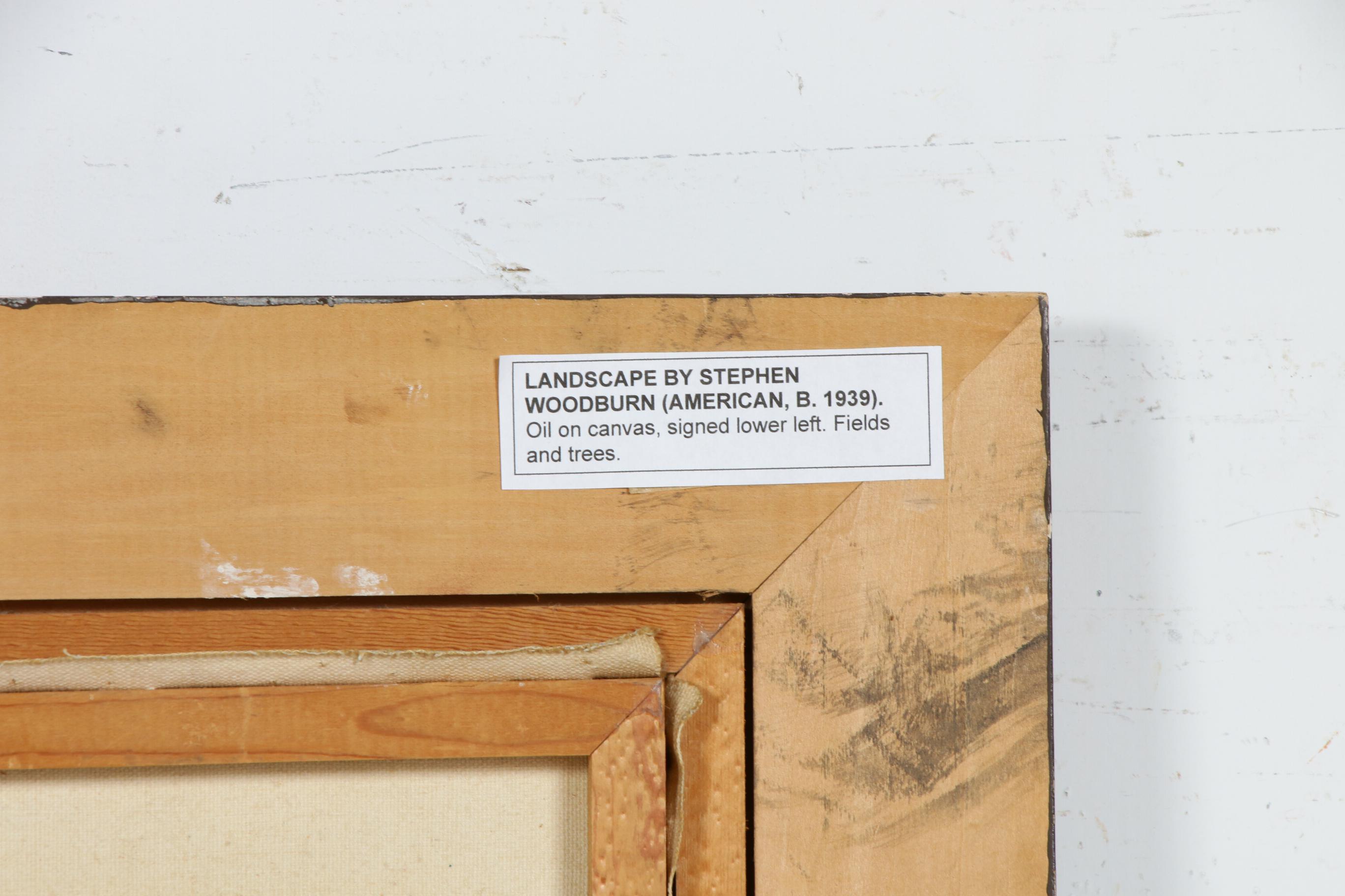 Stephen Woodburn Rocky Field Landscape Oil Painting, Mid to Late 20th Century