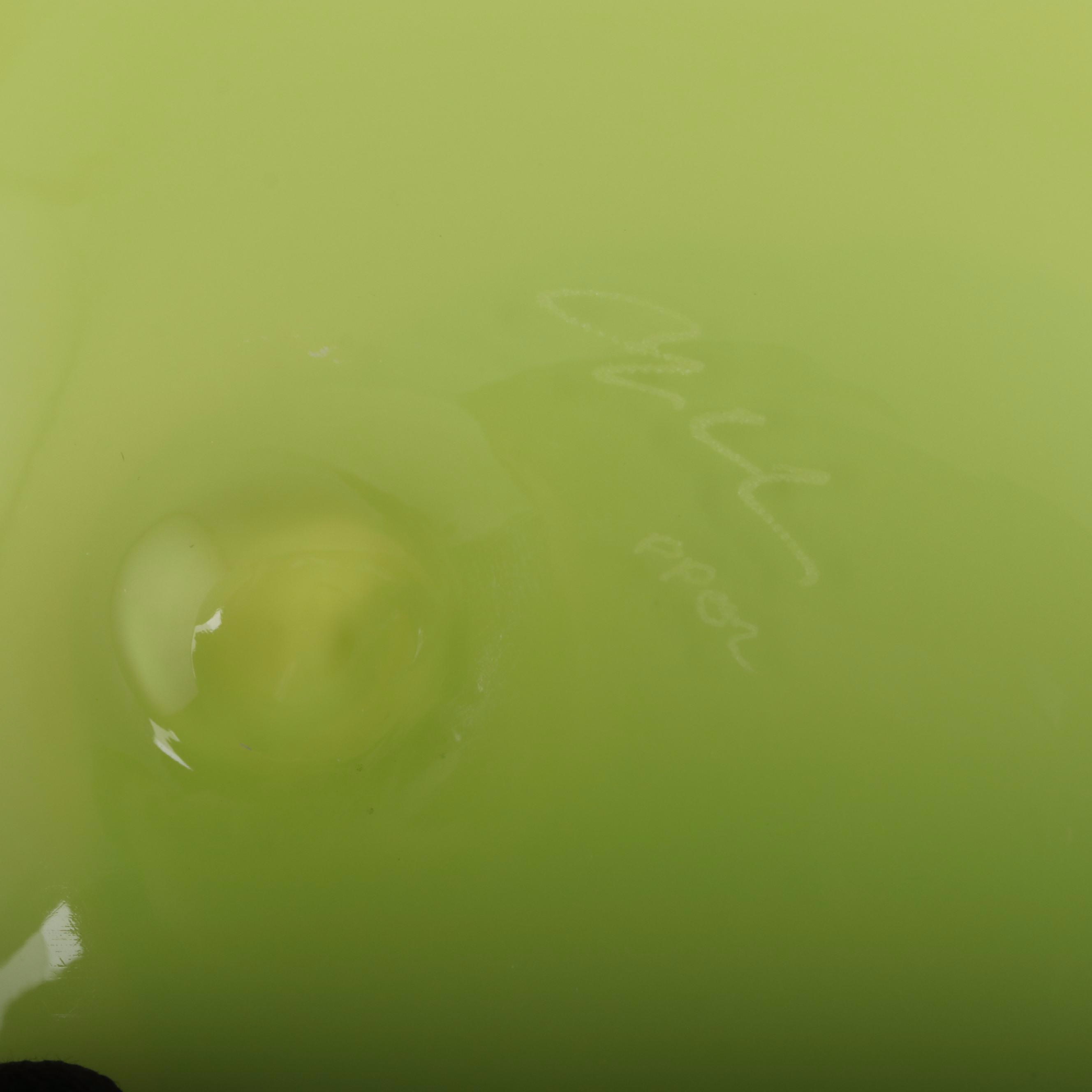 Dale Chihuly Studio Edition Art Glass "Citron Basket", 2002