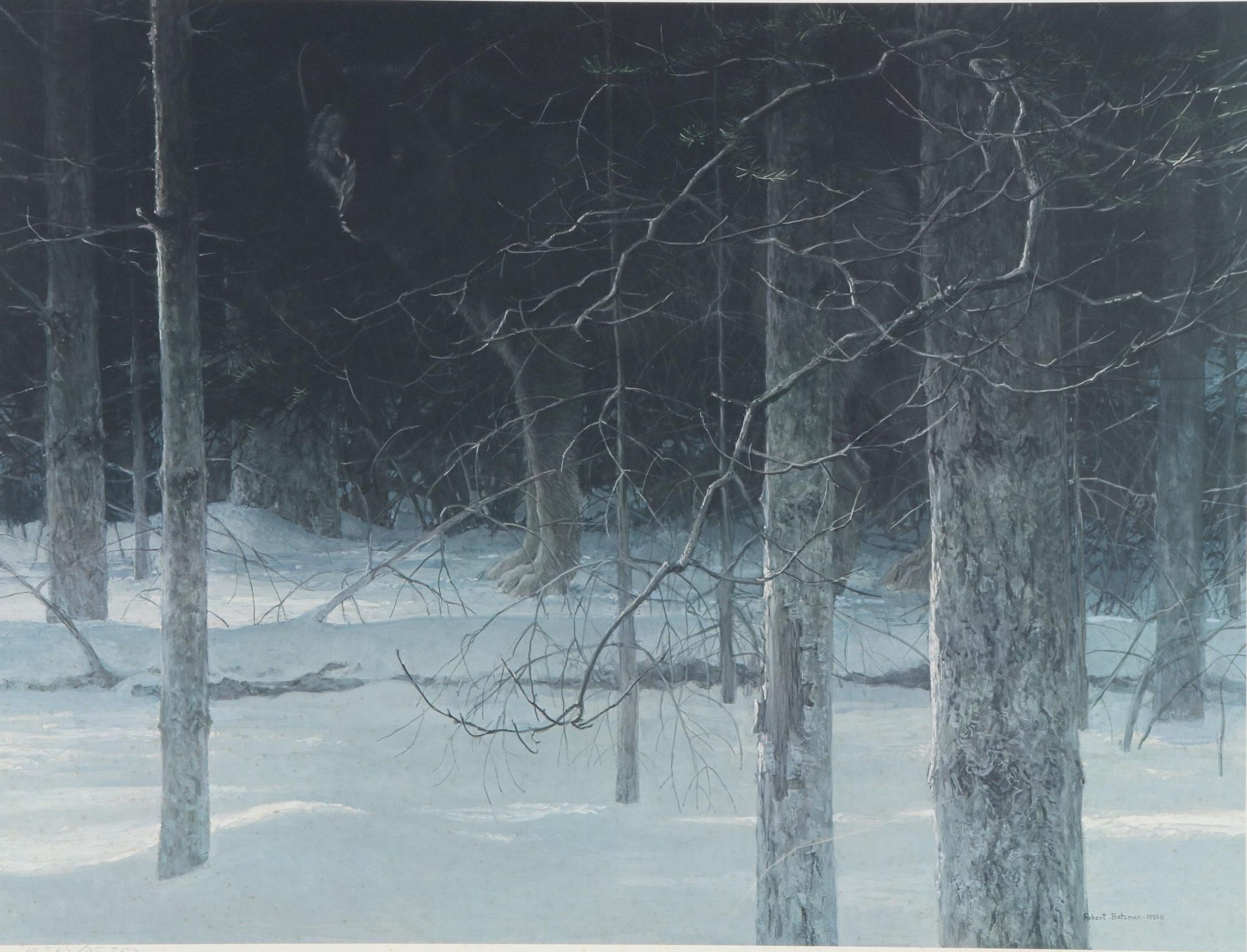 Robert Bateman Offset Lithograph "Midnight - Black Wolf", Late 20th Century