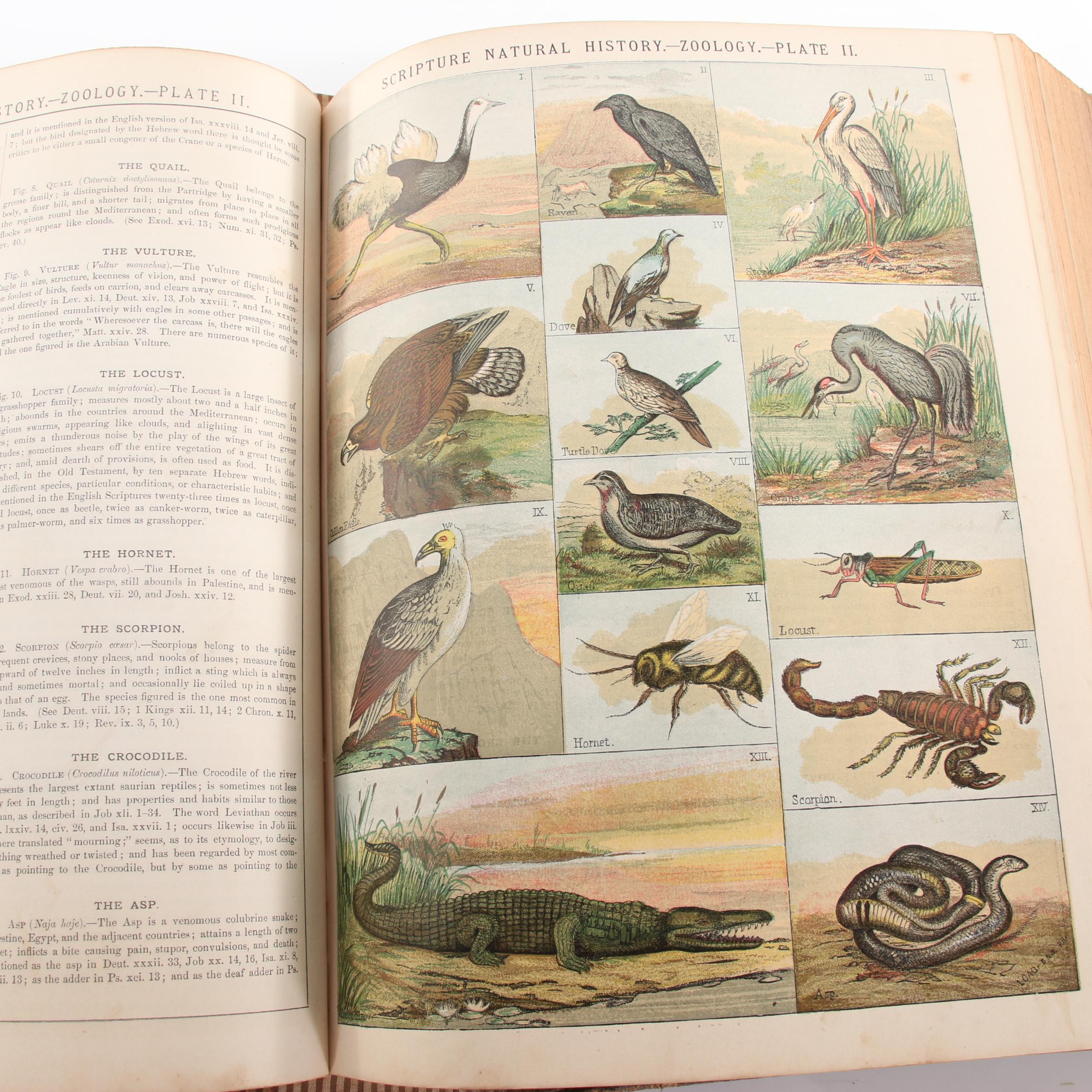 1881 "The Holy Bible with Complete Concordance and Bible Dictionary"