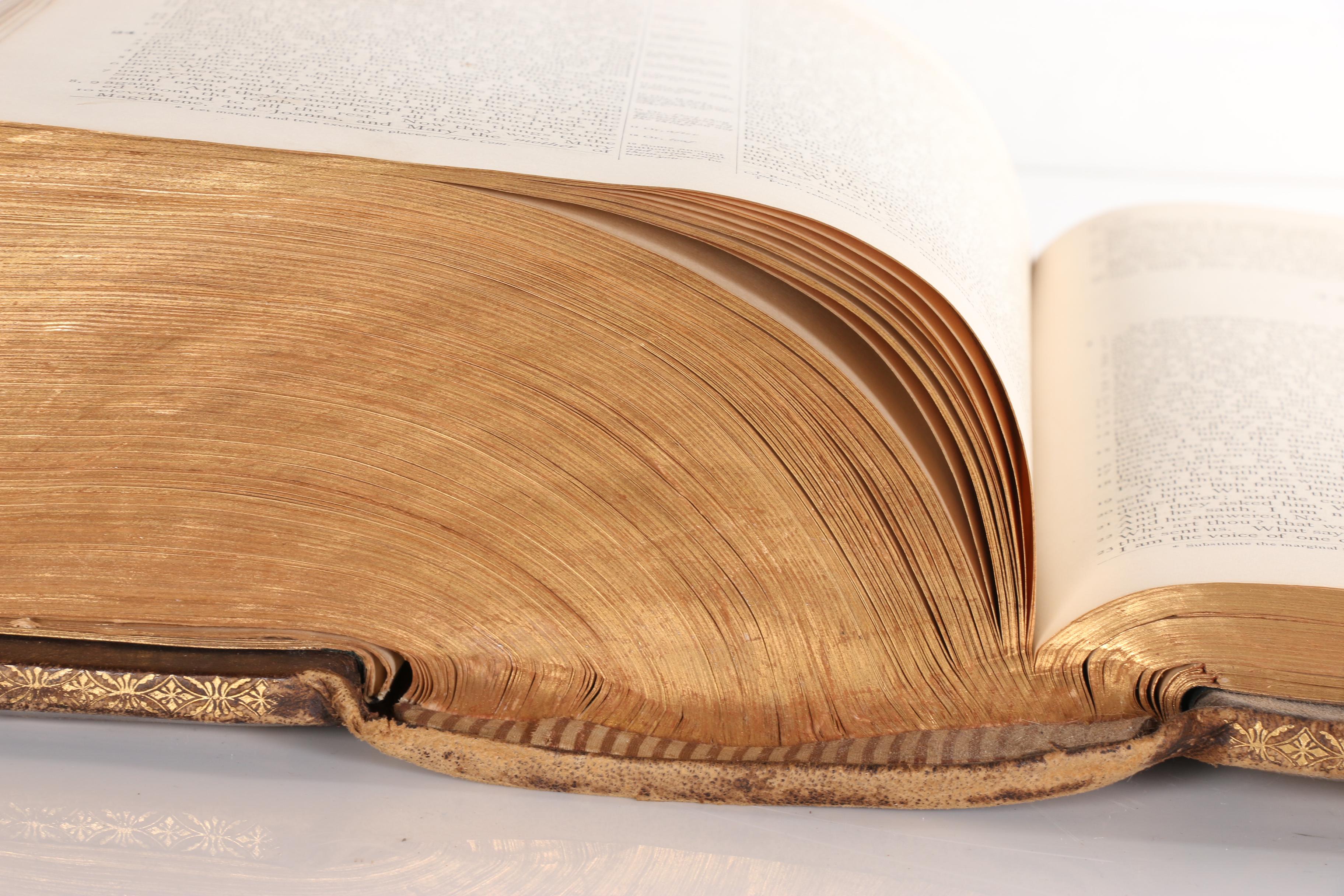 1881 "The Holy Bible with Complete Concordance and Bible Dictionary"