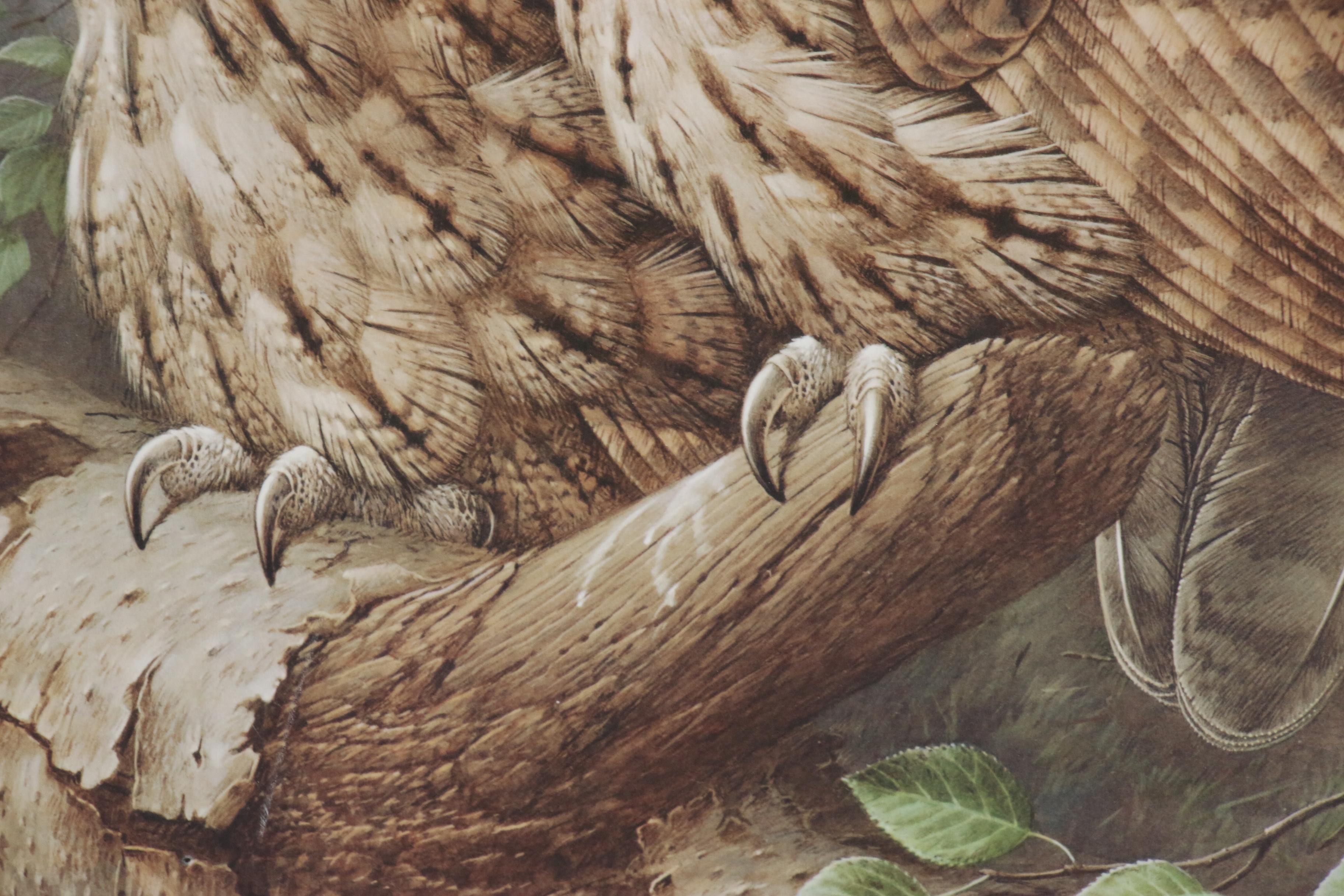 Raymond Watson Collotype Print "Tawny Owl" 1984