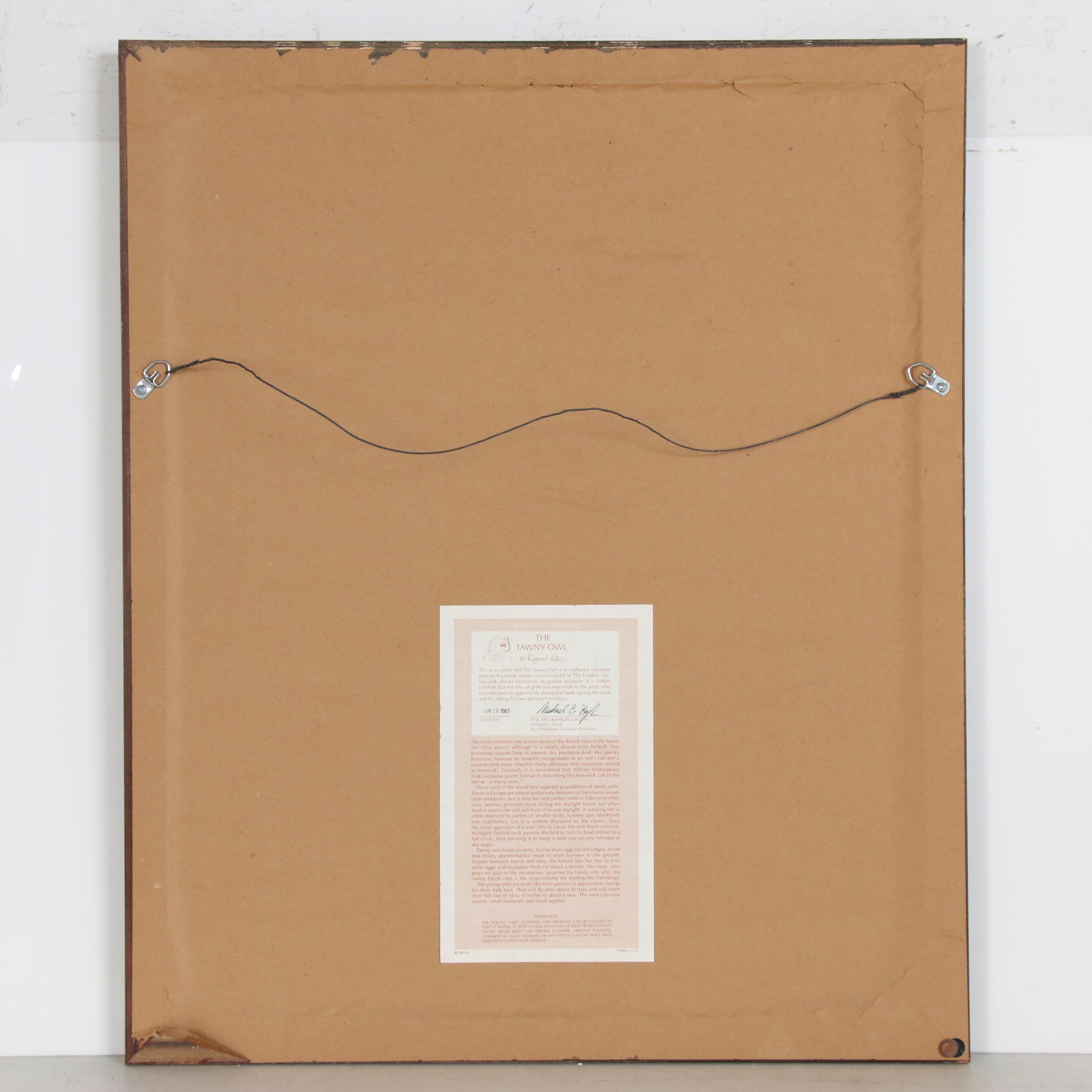 Raymond Watson Collotype Print "Tawny Owl" 1984