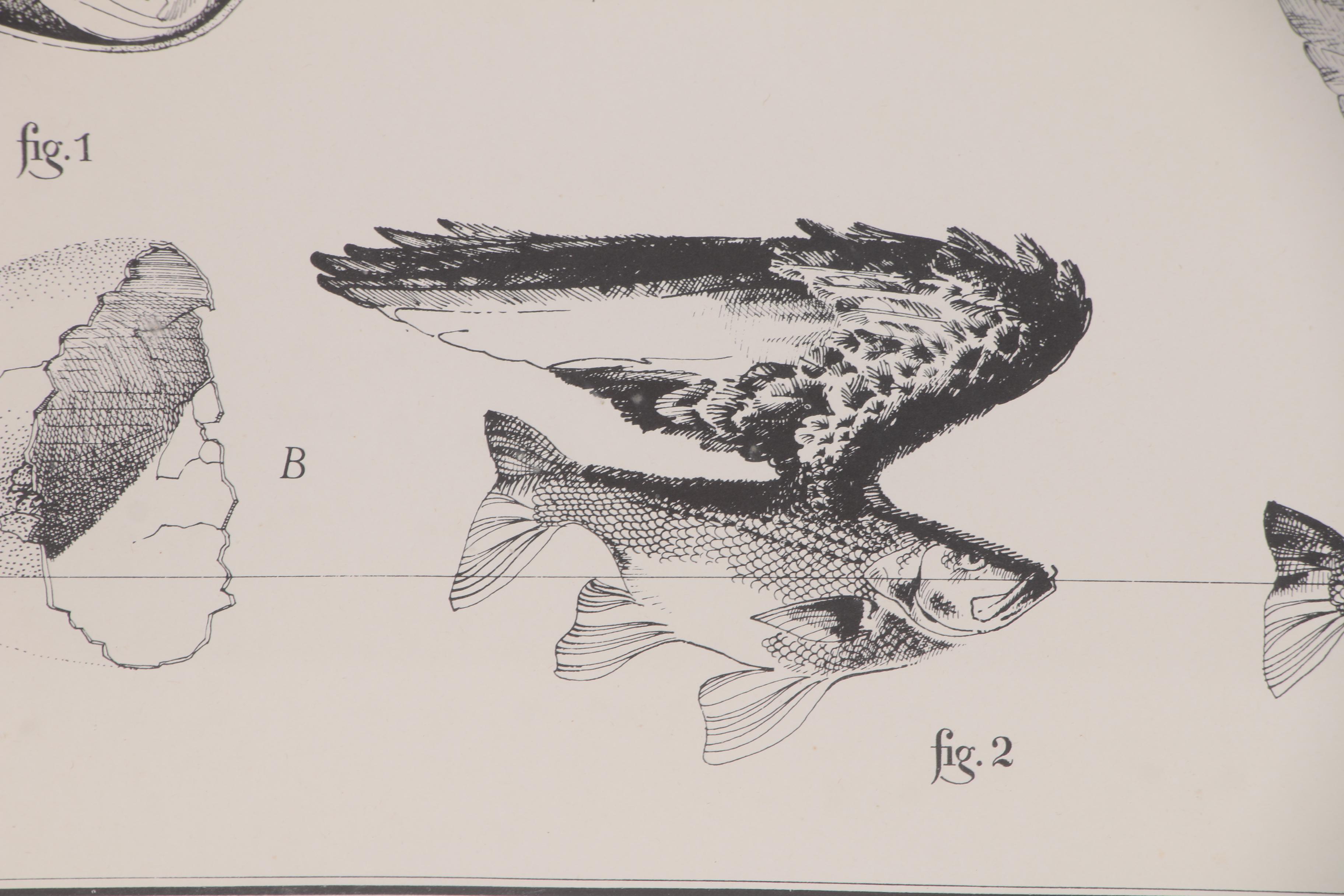 Photolithograph after Jean-Olivier Héron "Comment Naissent les Bateaux", 1983
