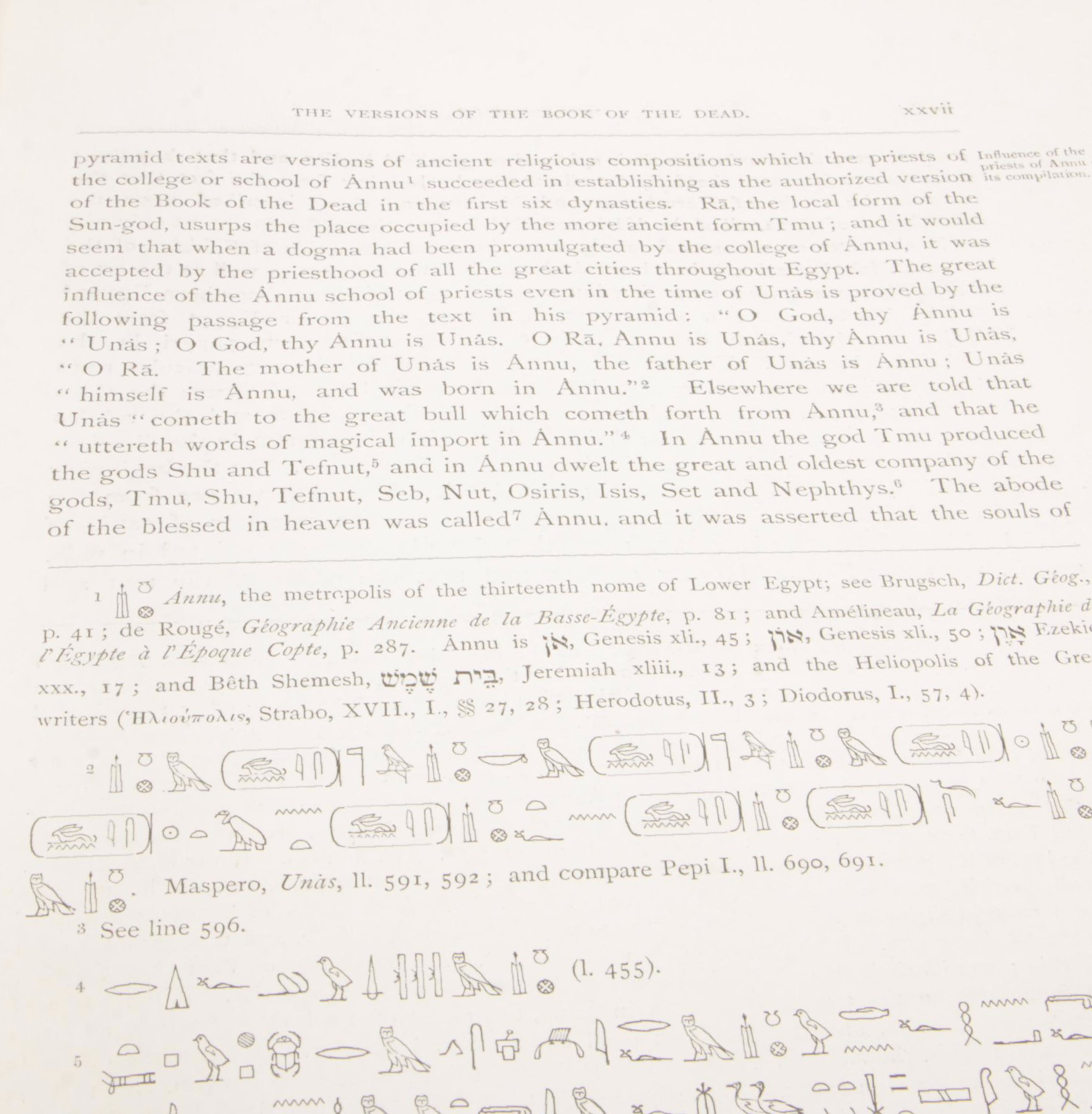 1895 First Edition "The Book of the Dead: The Papyrus of Ani" by E.A. Wallis