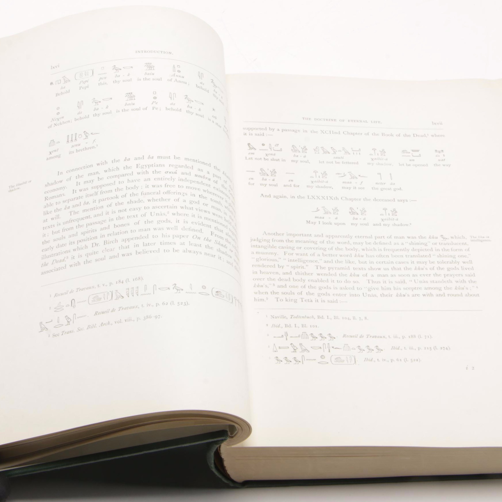 1895 First Edition "The Book of the Dead: The Papyrus of Ani" by E.A. Wallis