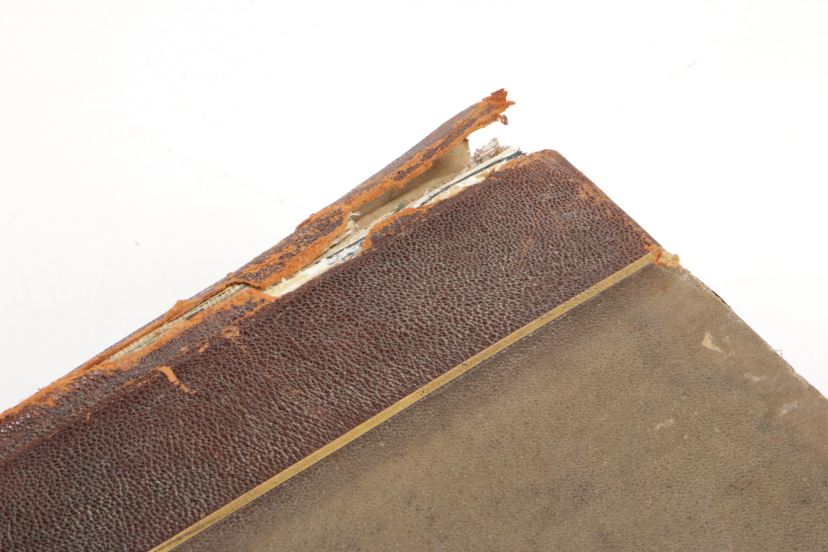 1899 "The Book of the Dead: Facsimiles of the Papyri of Hunefer, and Others"