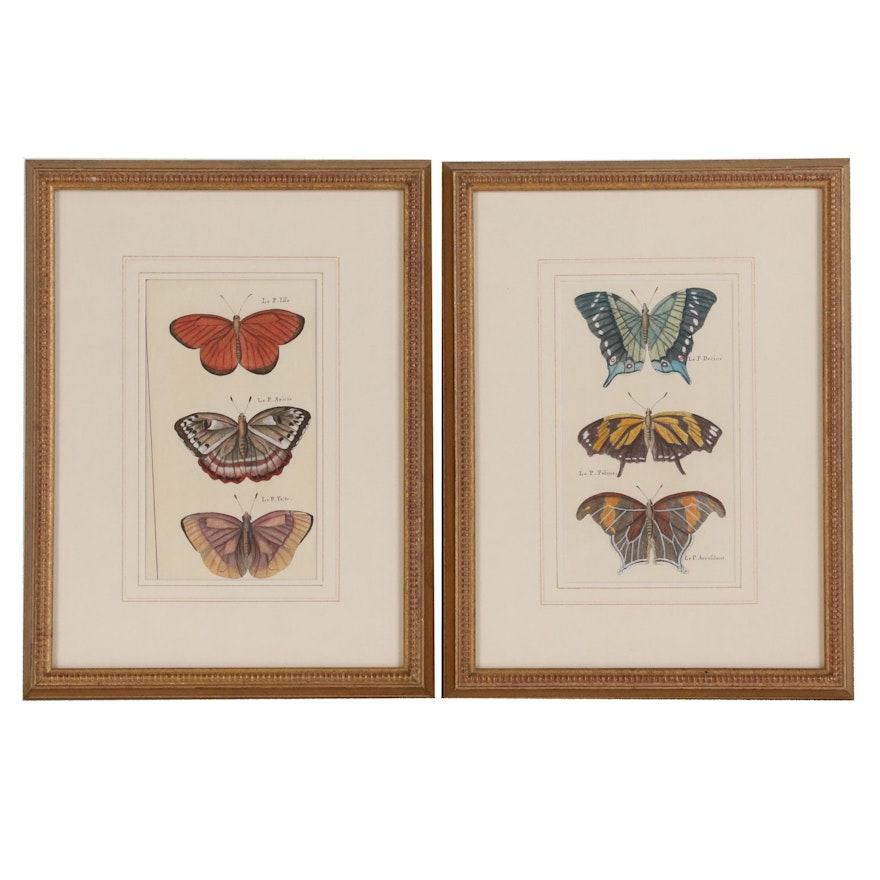 Pair of Hand Colored Entomological Lithographs, Late 19th Century