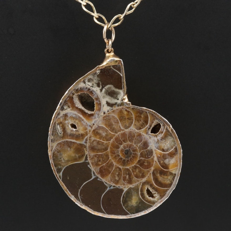 Ammonite Pendant on a Sterling Curb Chain