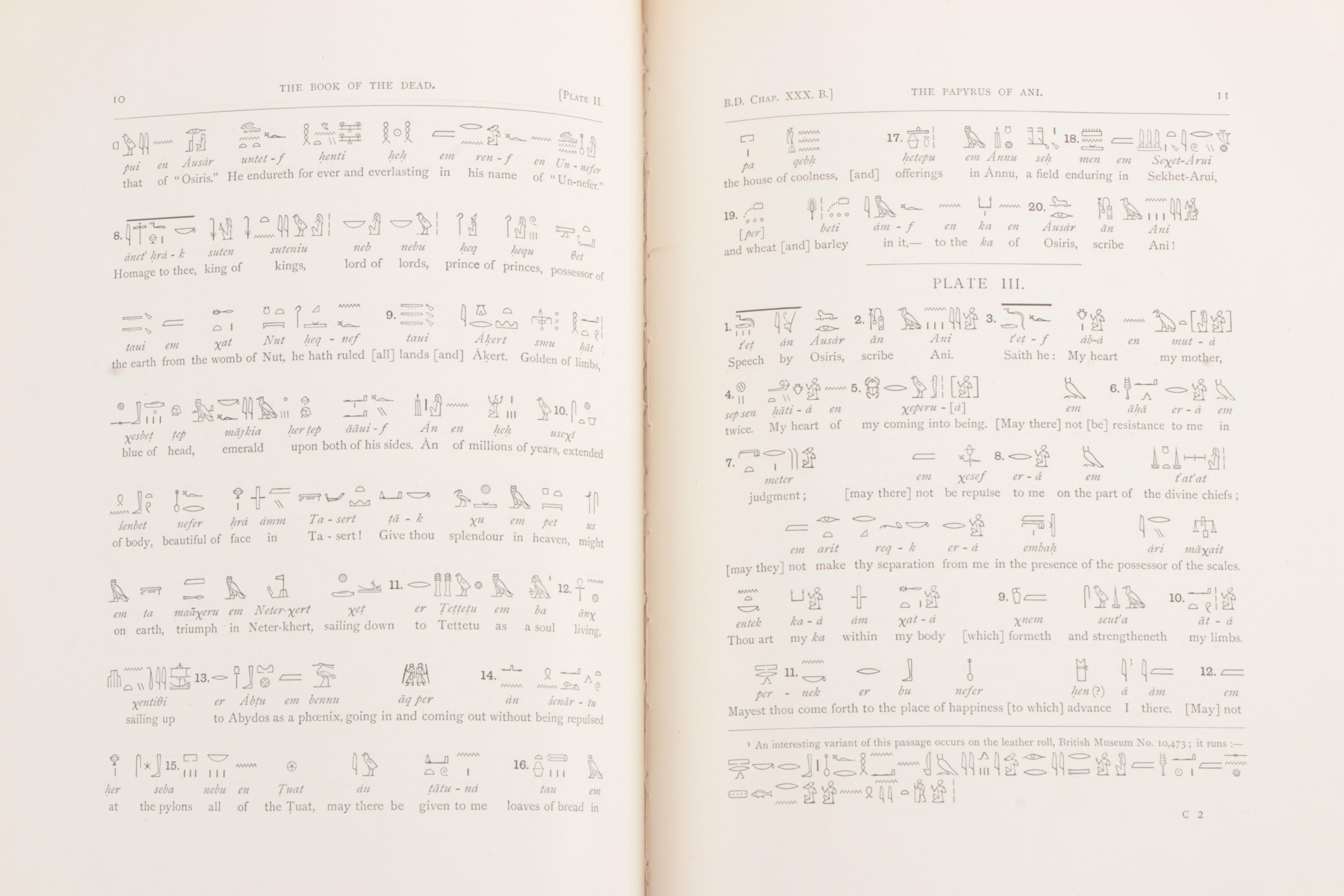 1895 First Edition "The Book of the Dead: The Papyrus of Ani" by E.A. Wallis