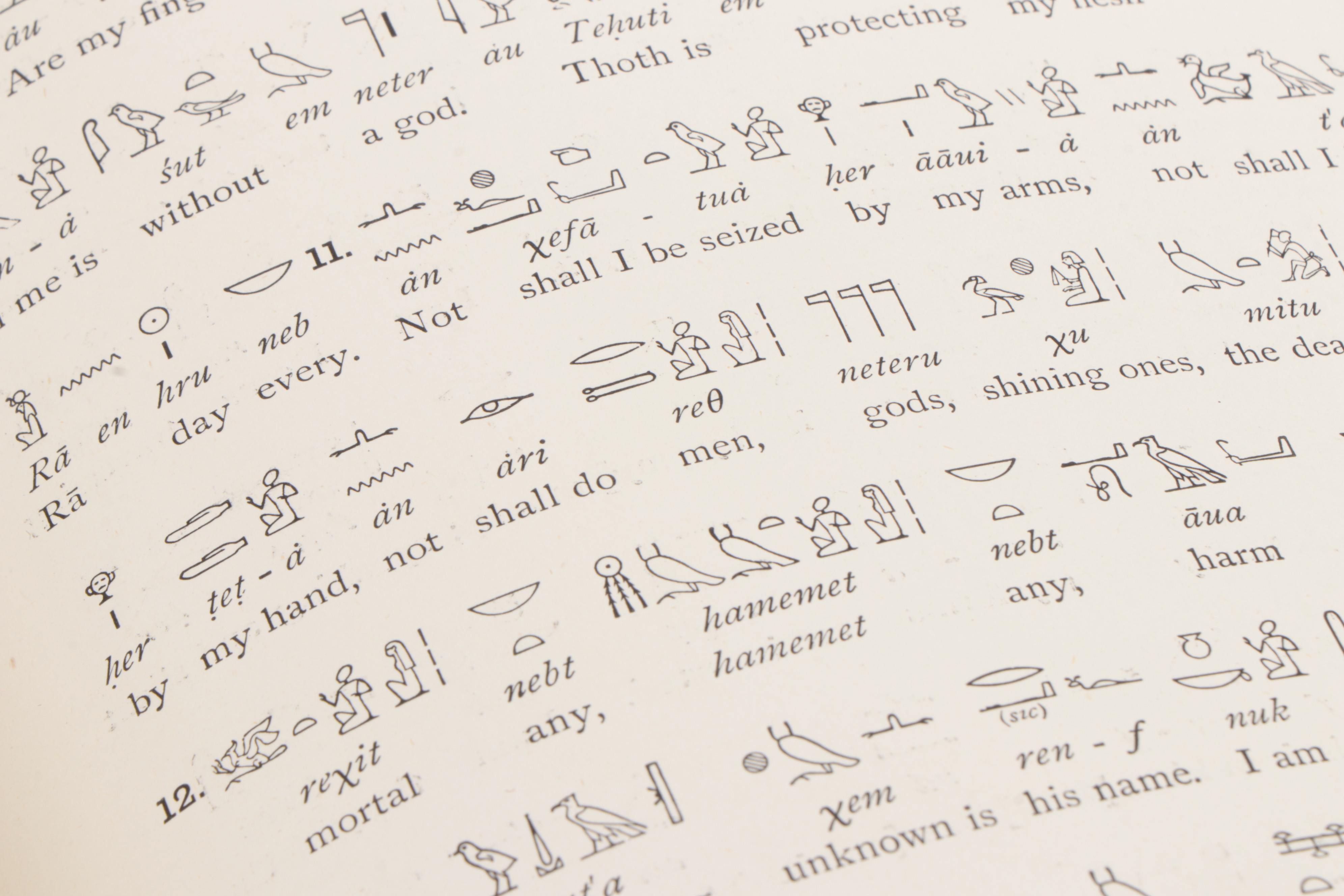 1895 First Edition "The Book of the Dead: The Papyrus of Ani" by E.A. Wallis