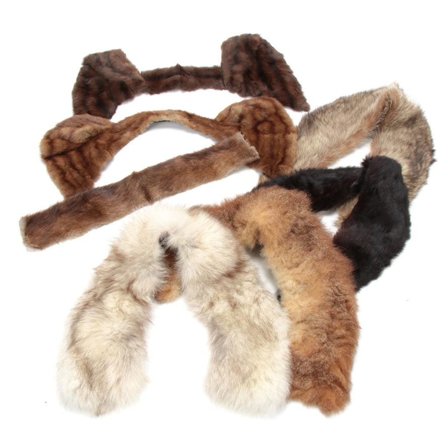 Fur Collars Including Fox, Rabbit, Mukrat and Beaver Fur, Vintage
