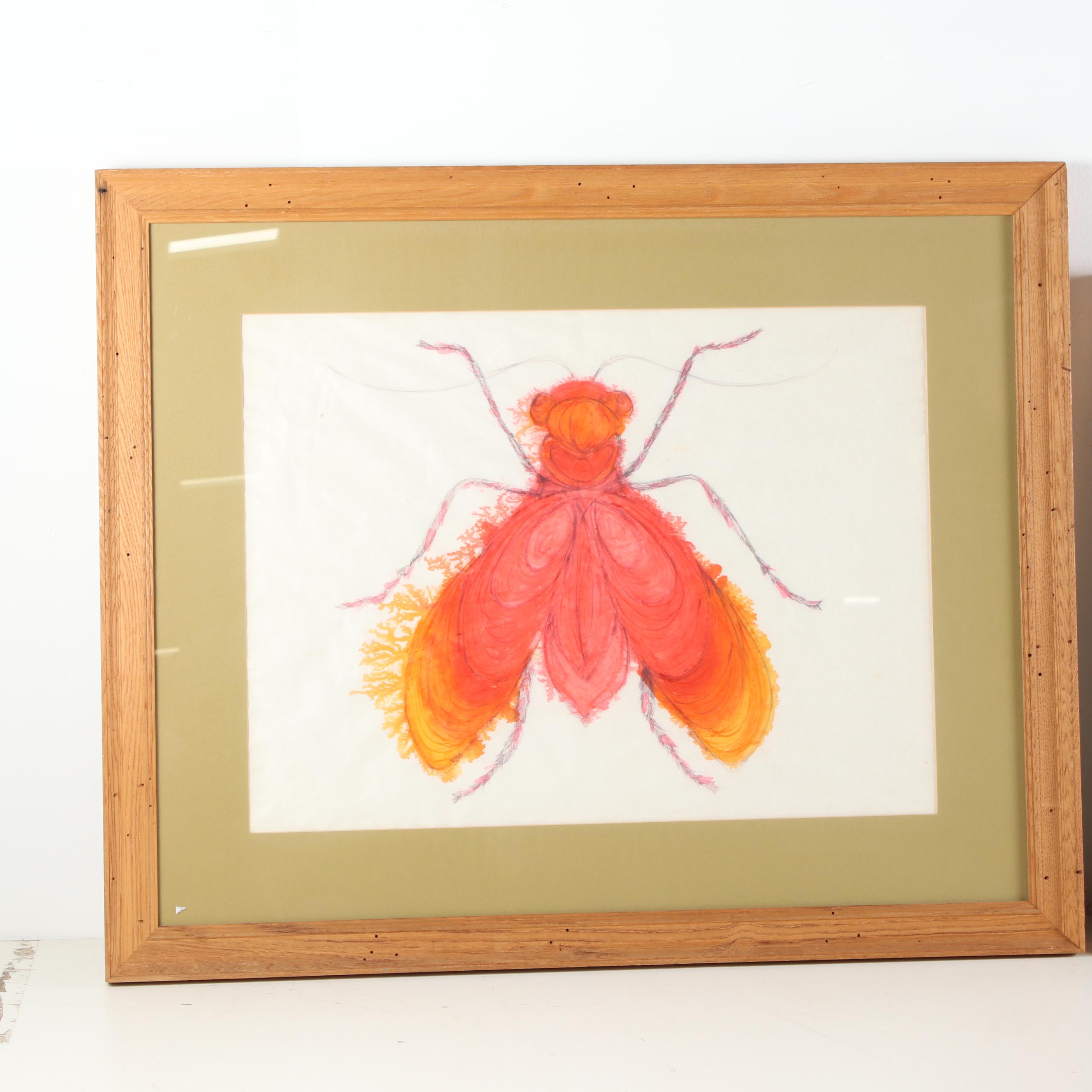 Watercolor Paintings of Insects