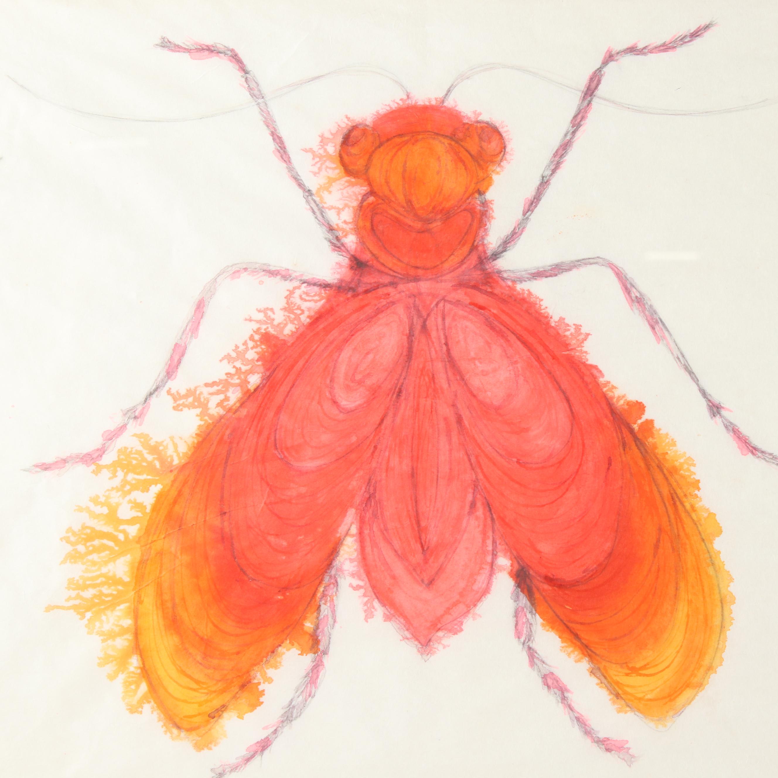 Watercolor Paintings of Insects