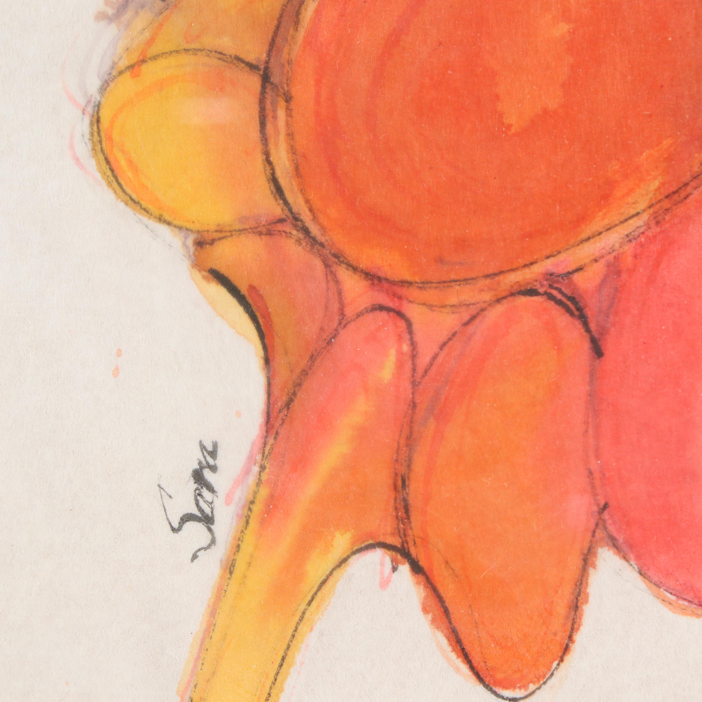 Watercolor Paintings of Insects