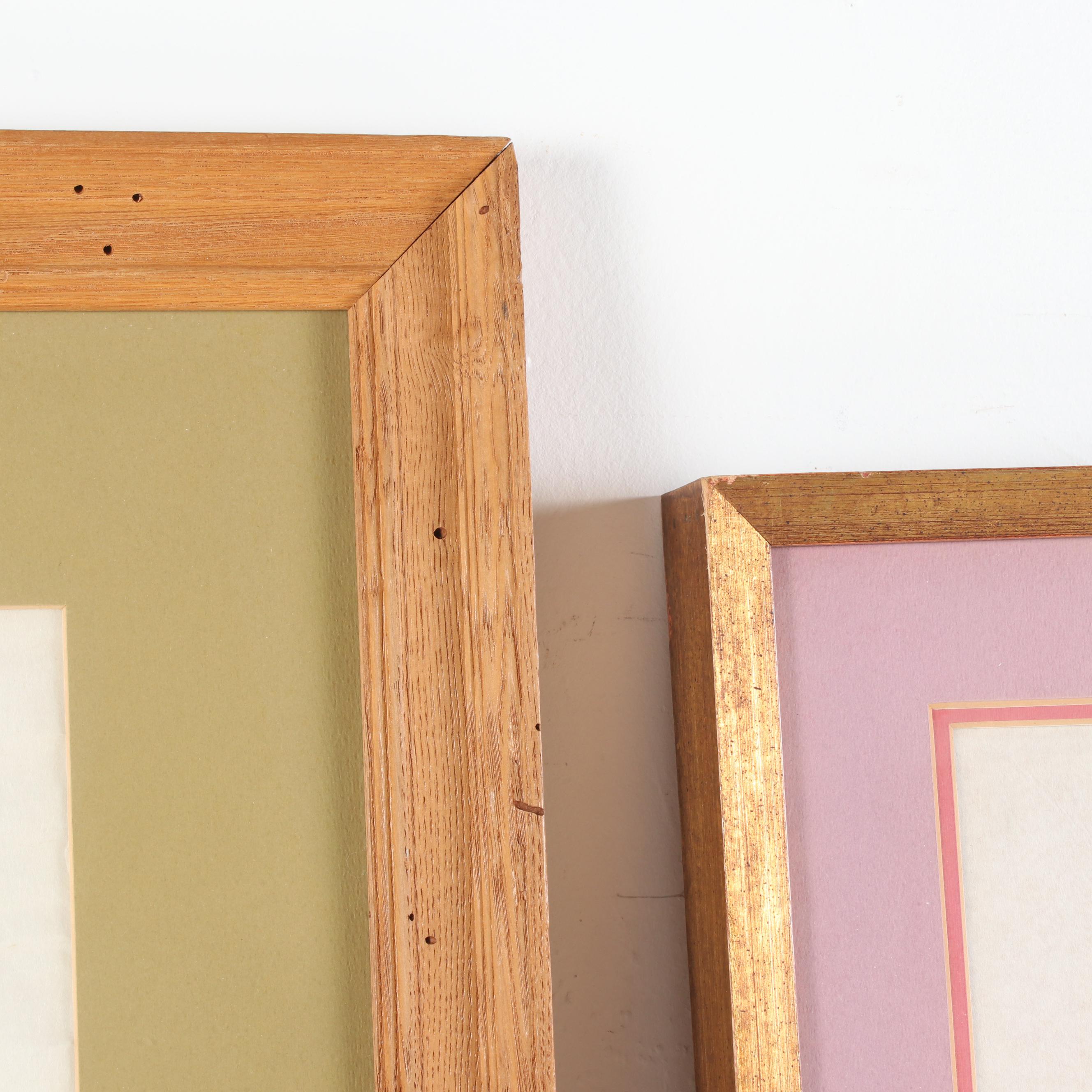 Watercolor Paintings of Insects