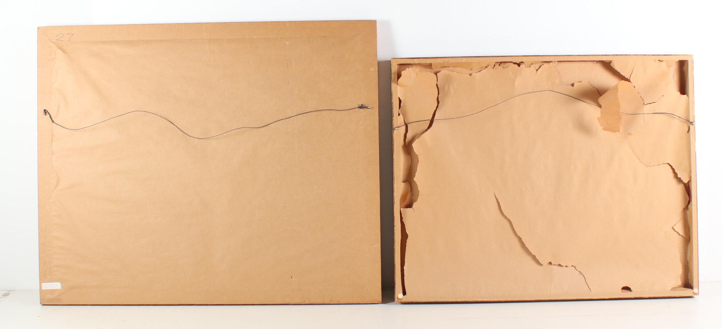 Watercolor Paintings of Insects