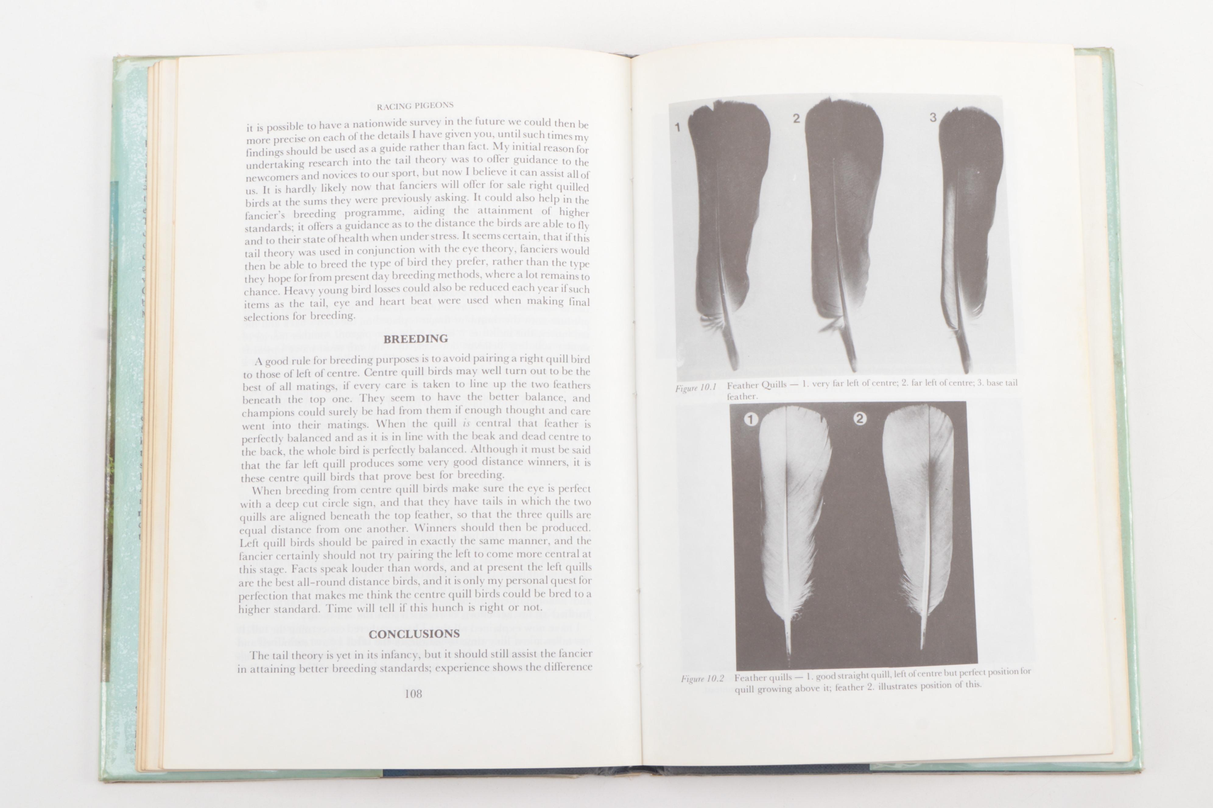 Pigeon Showing and Racing Books Featuring 1954 "The Sport of Pigeon Racing"