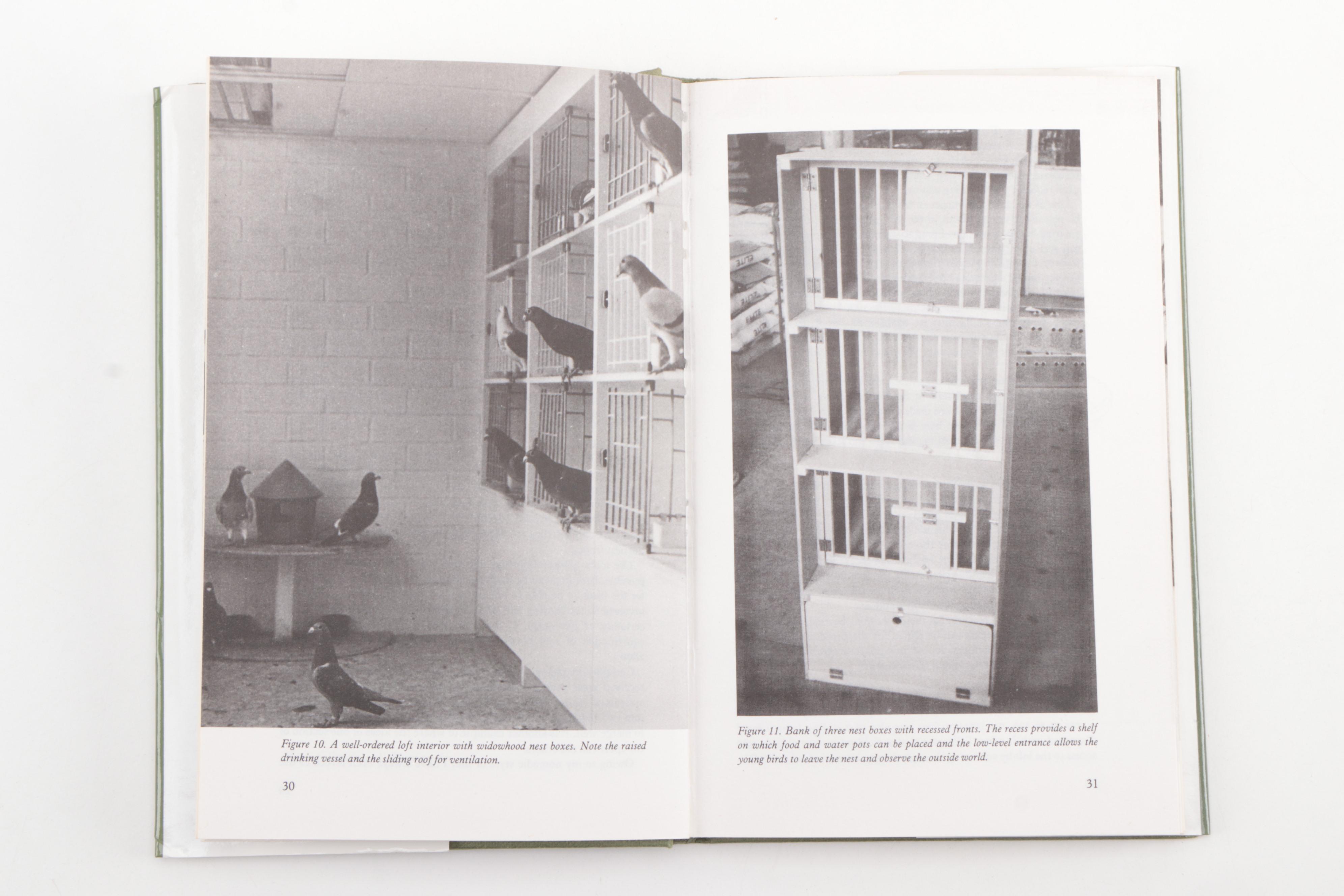 Pigeon Showing and Racing Books Featuring 1954 "The Sport of Pigeon Racing"