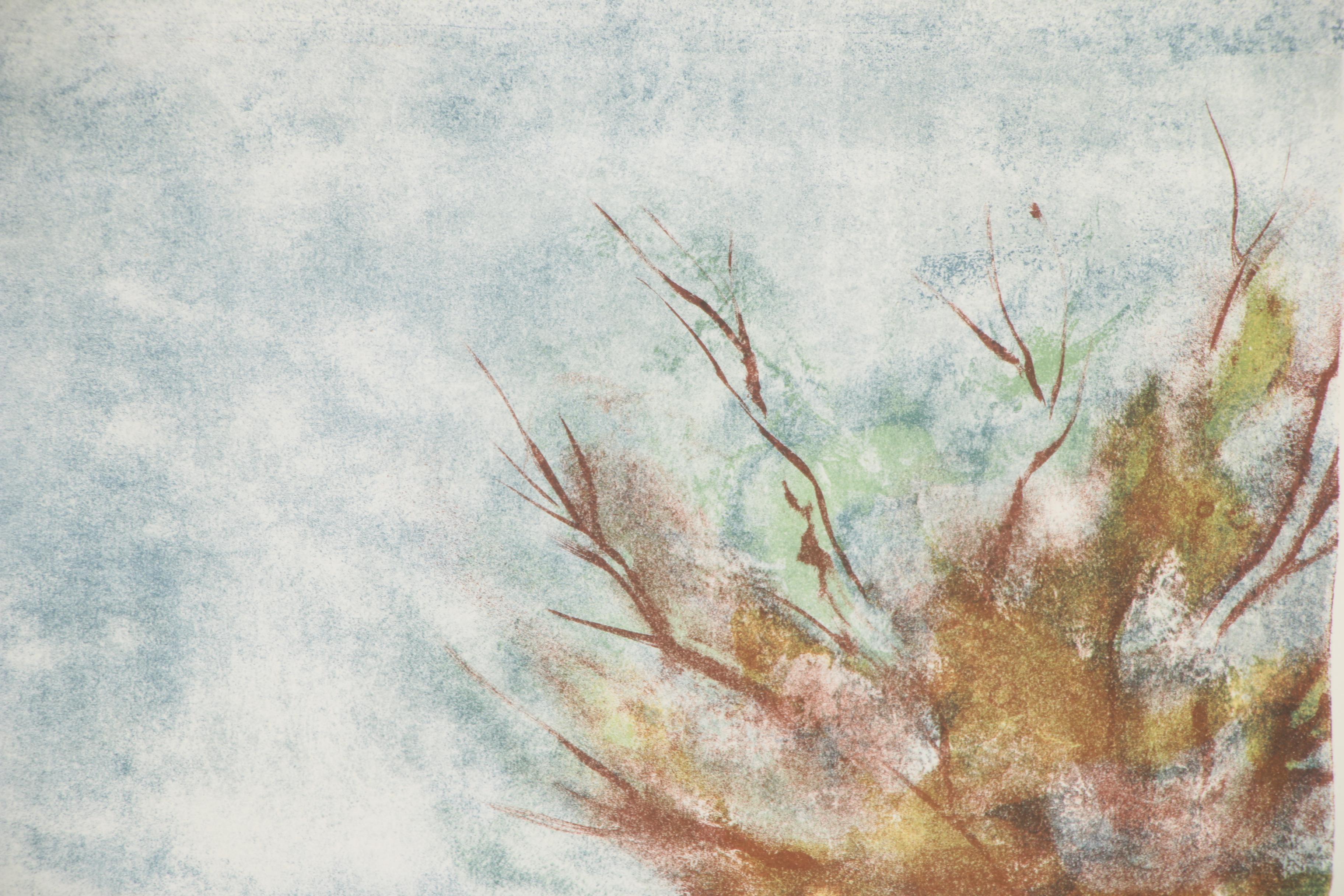 Pervez Captain Landscape Color Lithograph