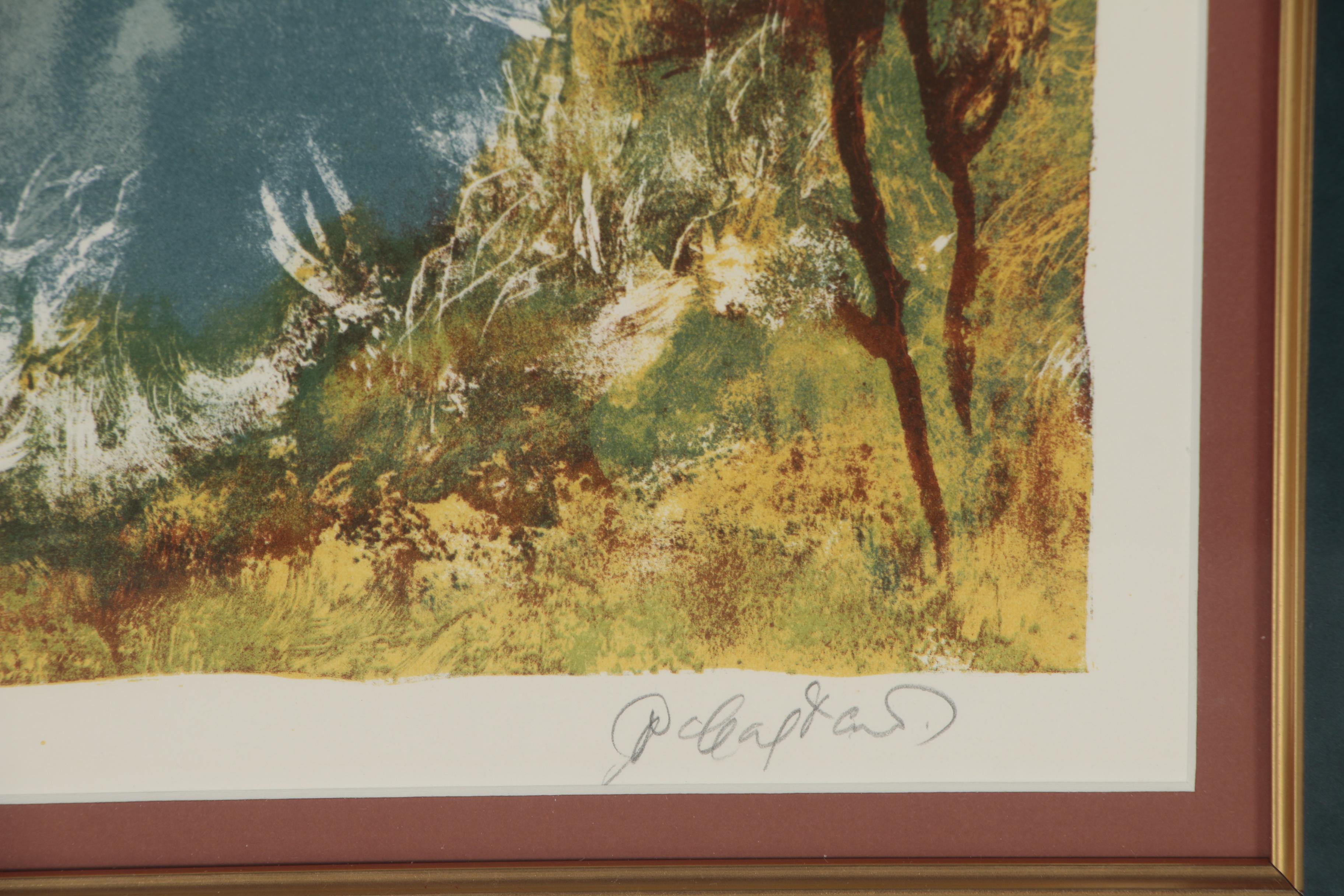 Pervez Captain Landscape Color Lithograph