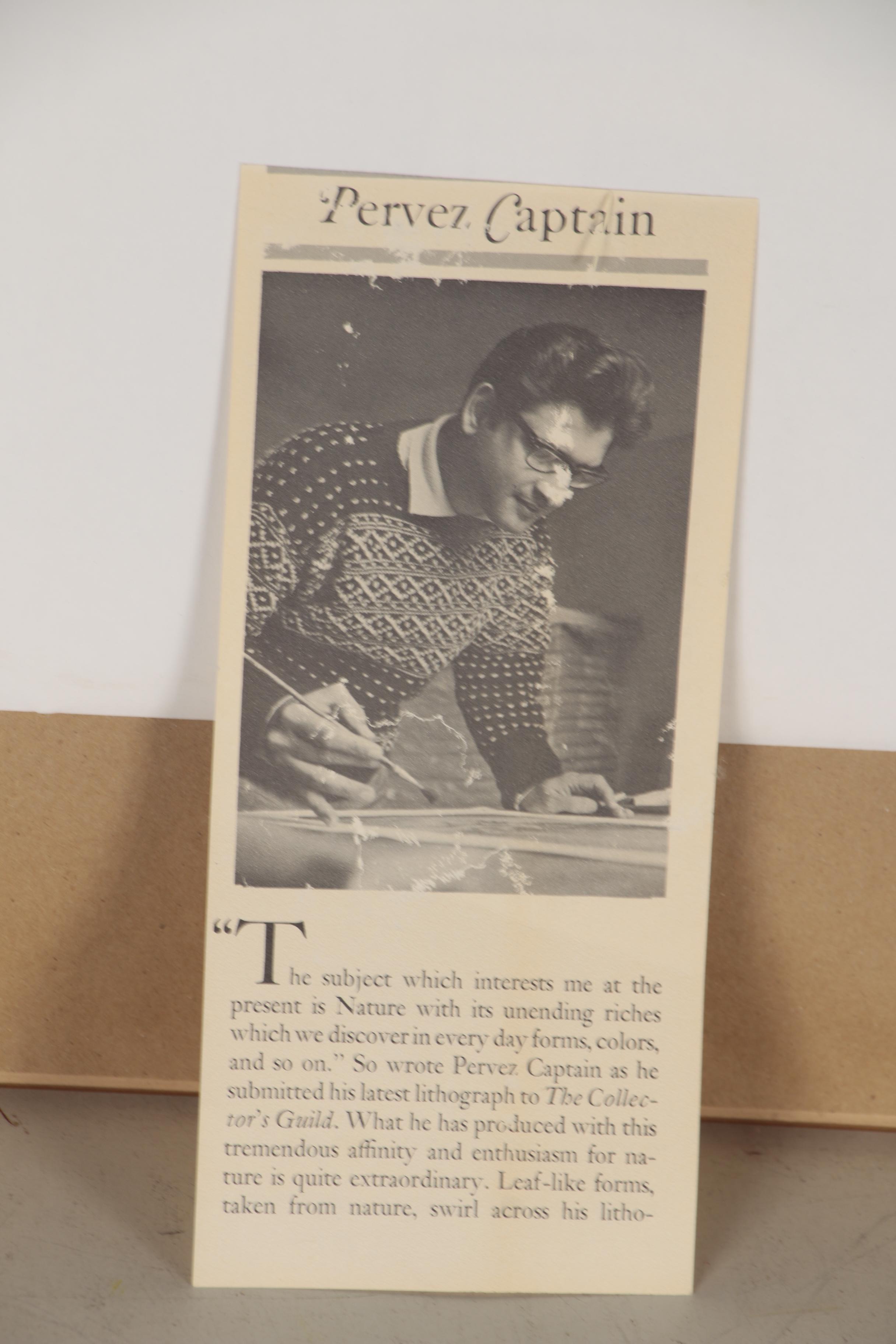 Pervez Captain Landscape Color Lithograph