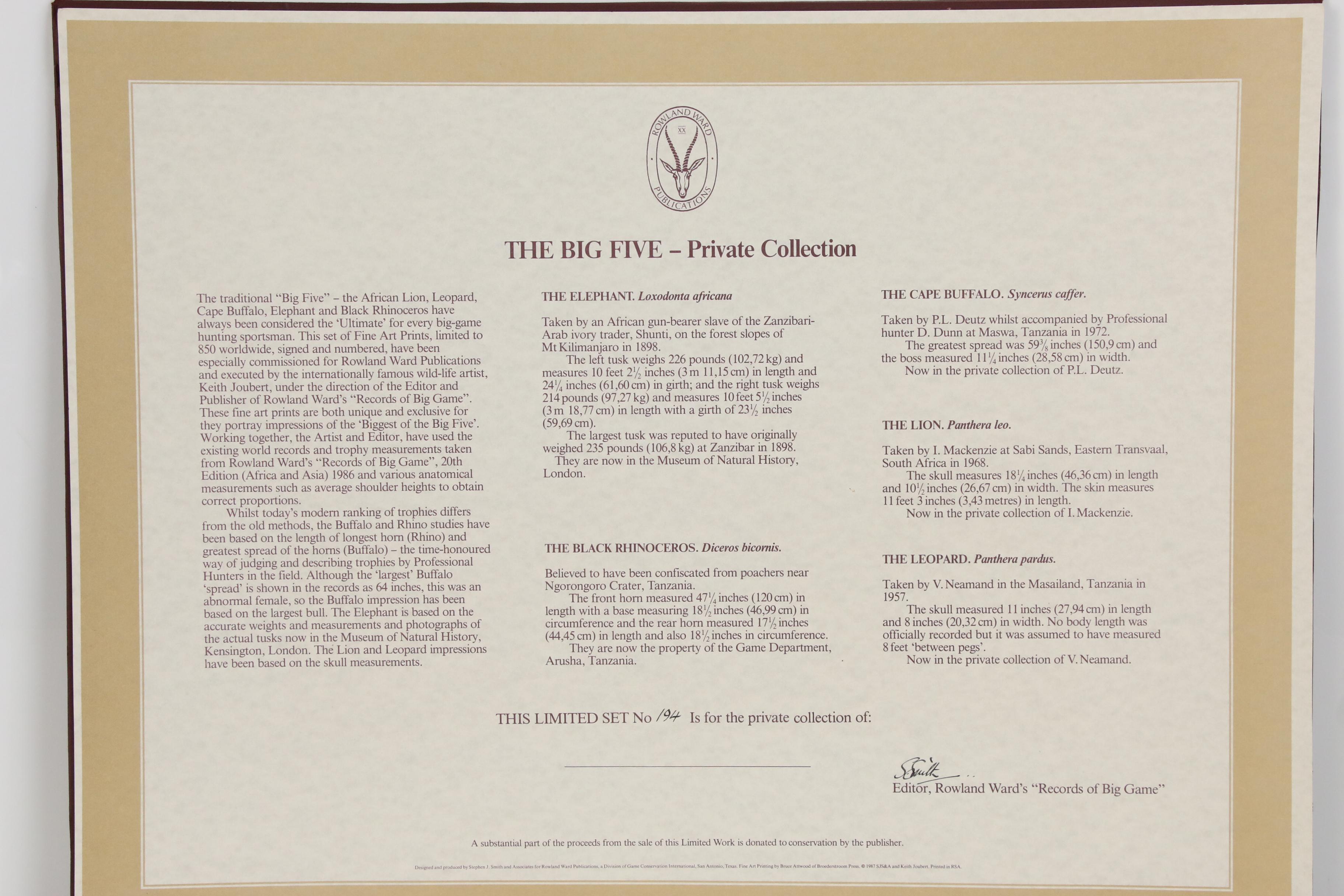 Keith Joubert Offset Lithograph "The Black Rhinoceros. Diceros bicornis."