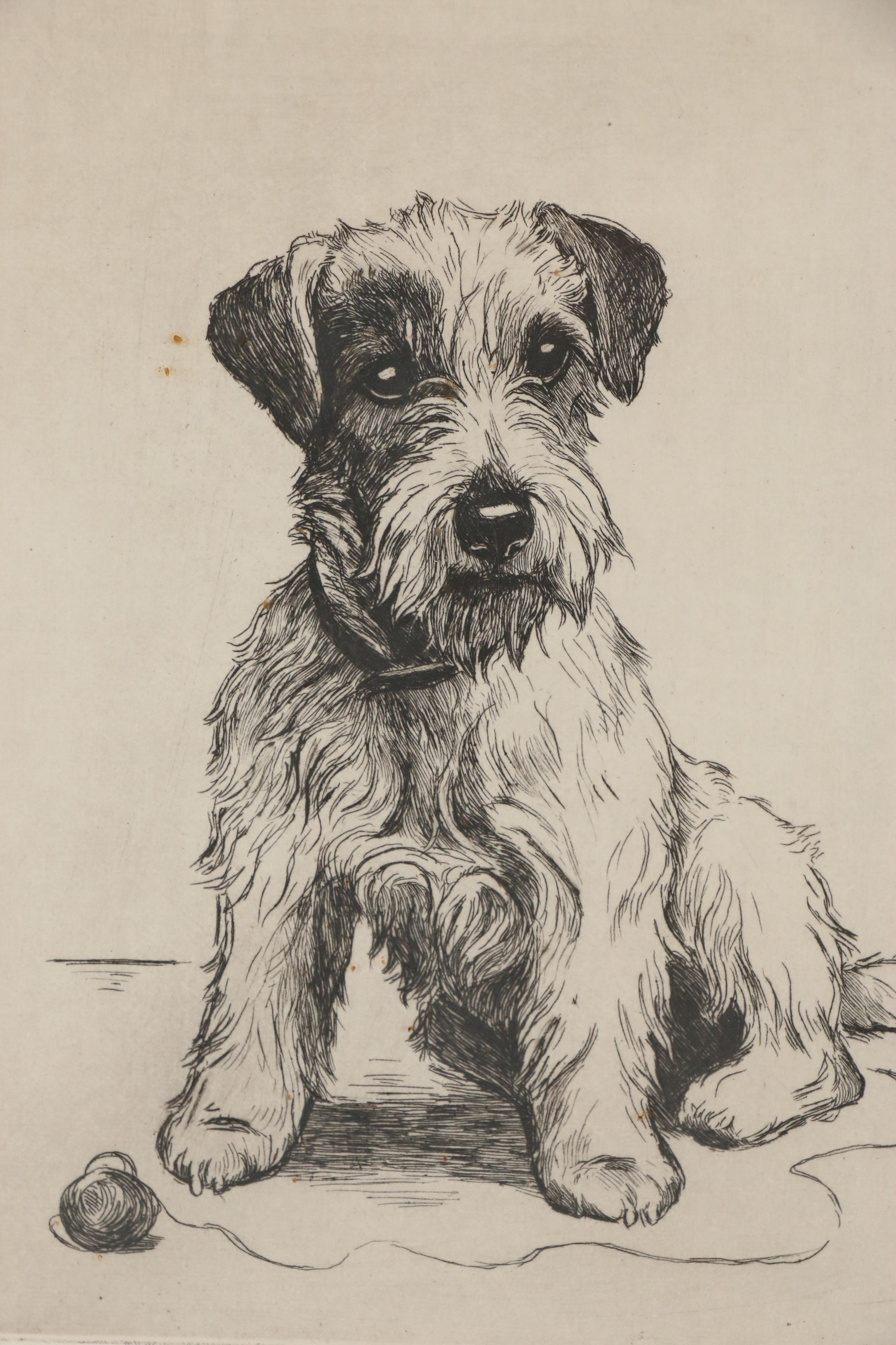 Marion Harvey Terrier Etching "A Guilty Conscience", Mid 20th Century