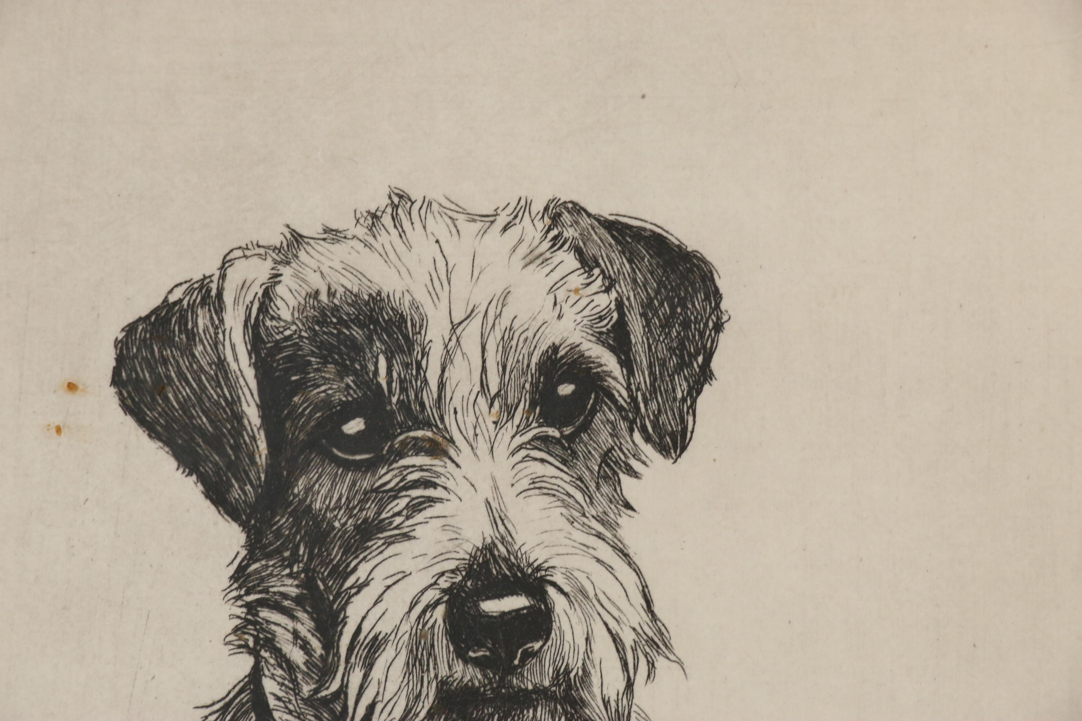 Marion Harvey Terrier Etching "A Guilty Conscience", Mid 20th Century