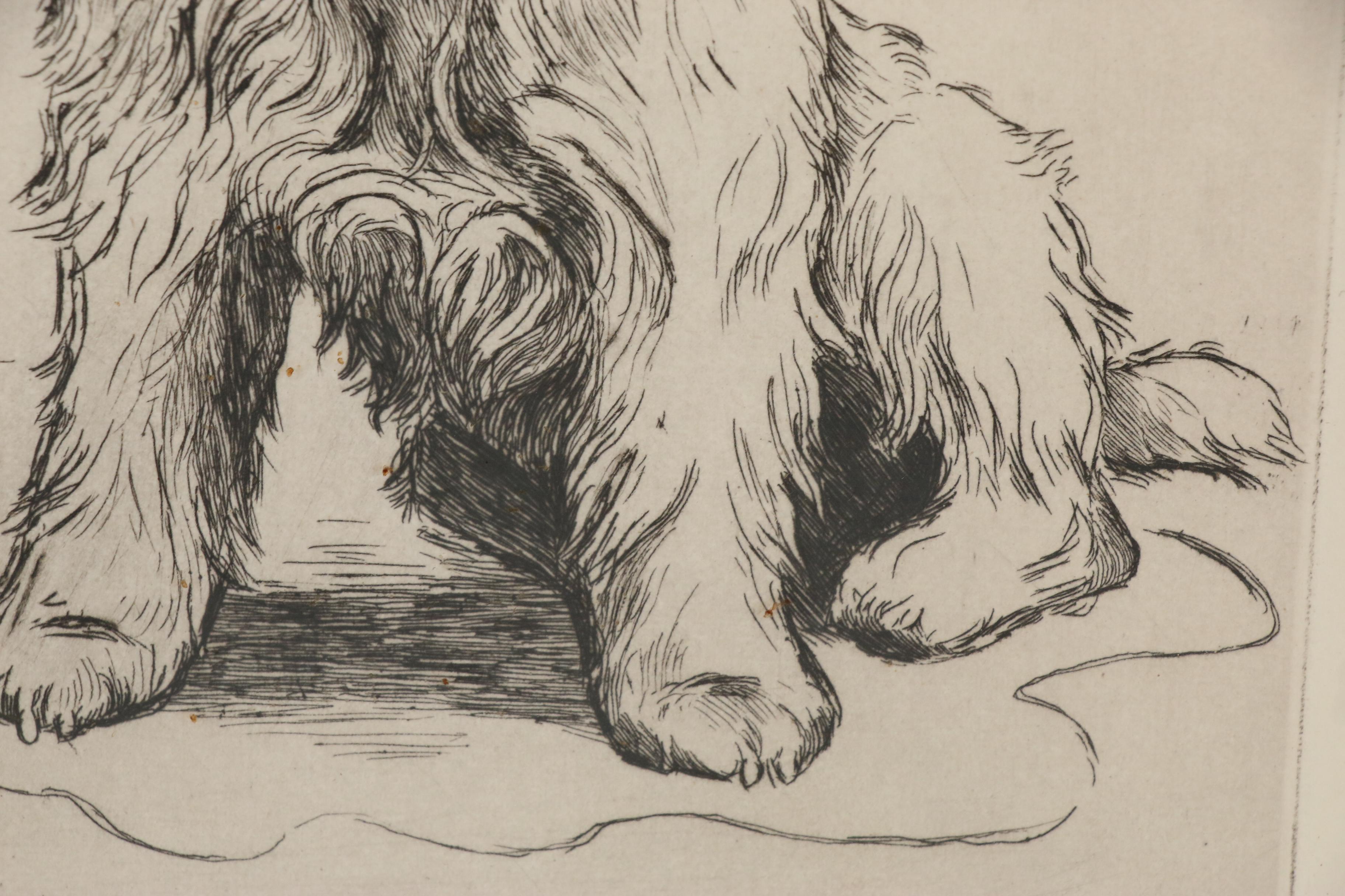 Marion Harvey Terrier Etching "A Guilty Conscience", Mid 20th Century
