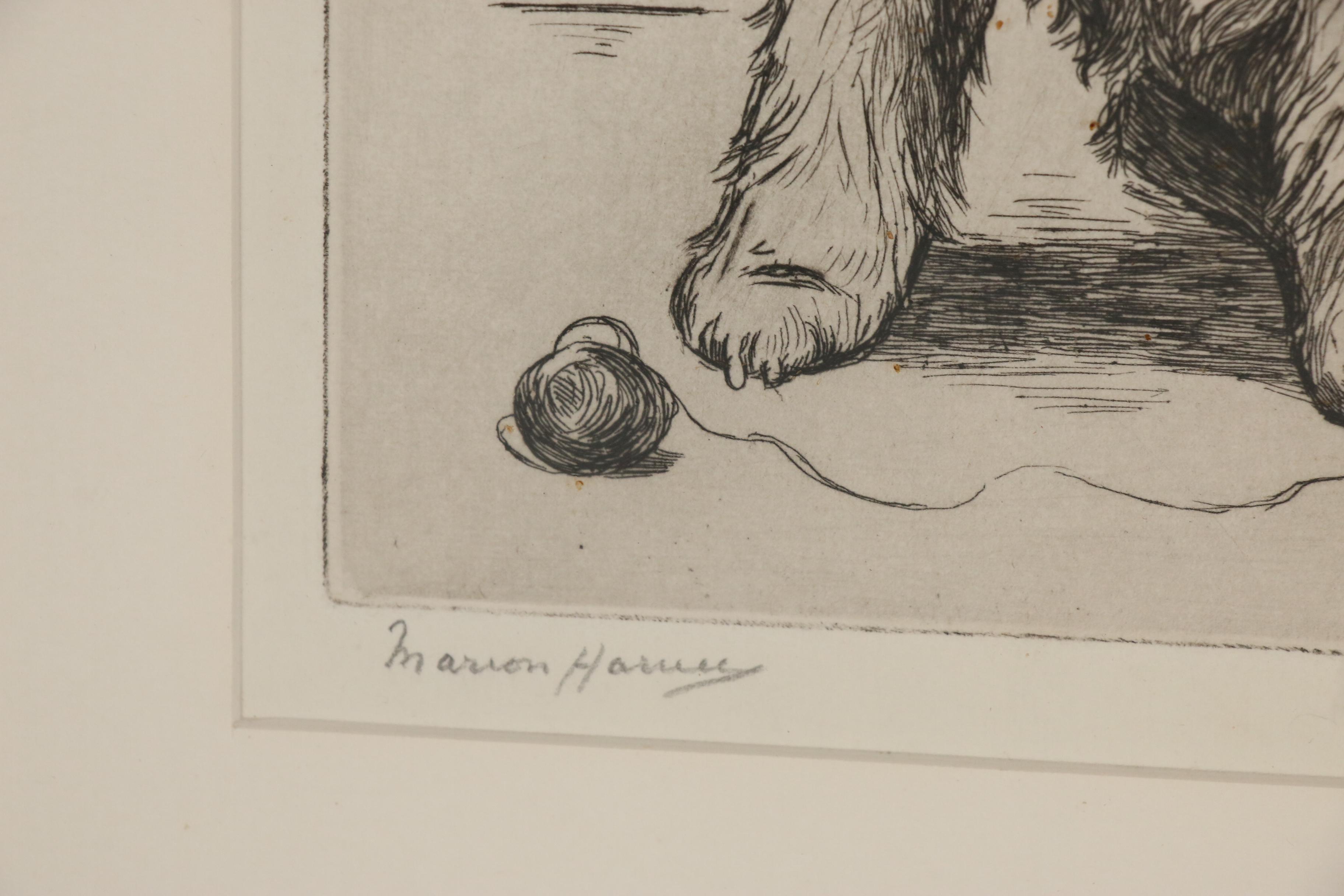 Marion Harvey Terrier Etching "A Guilty Conscience", Mid 20th Century