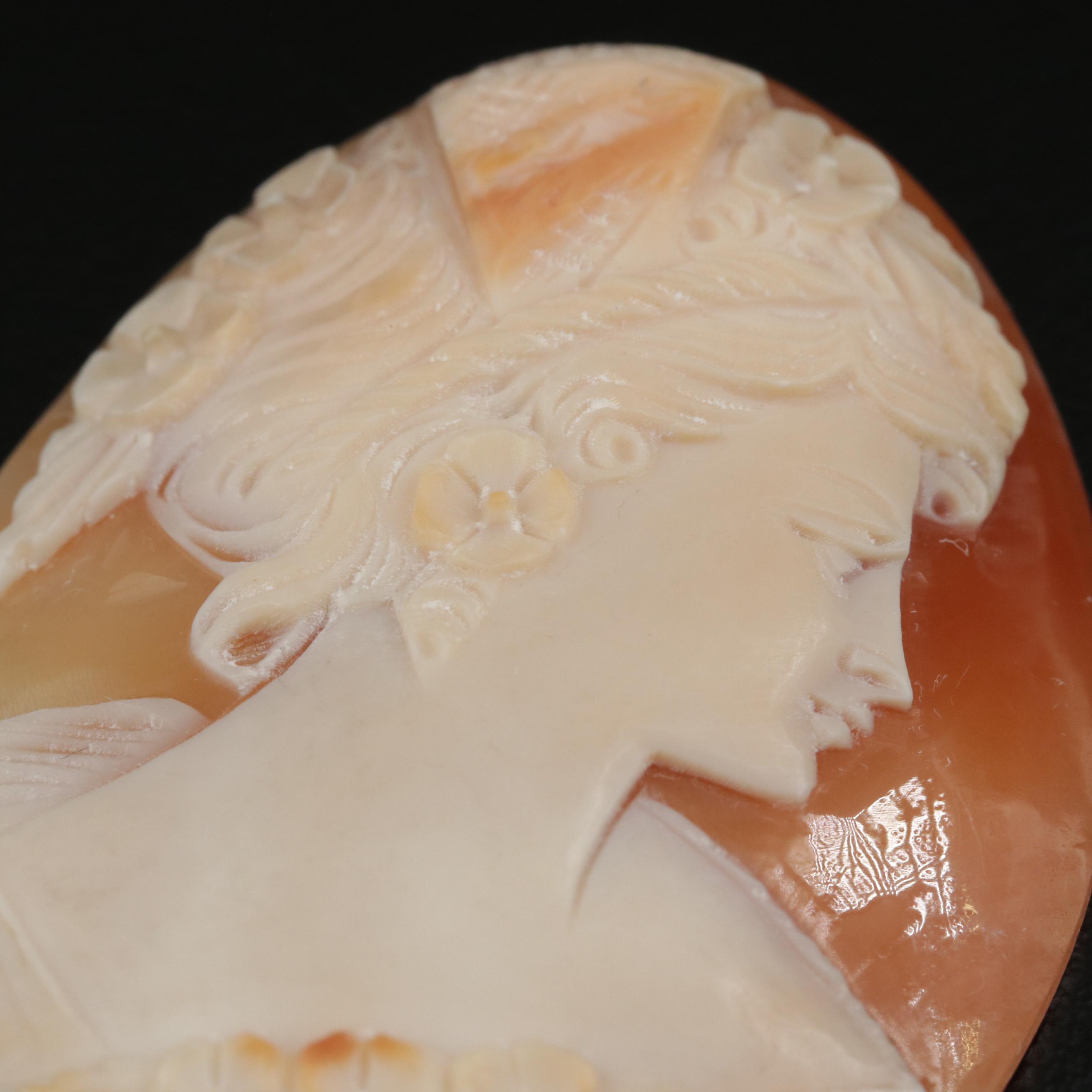 Loose Carved Helmet Shell Cameo